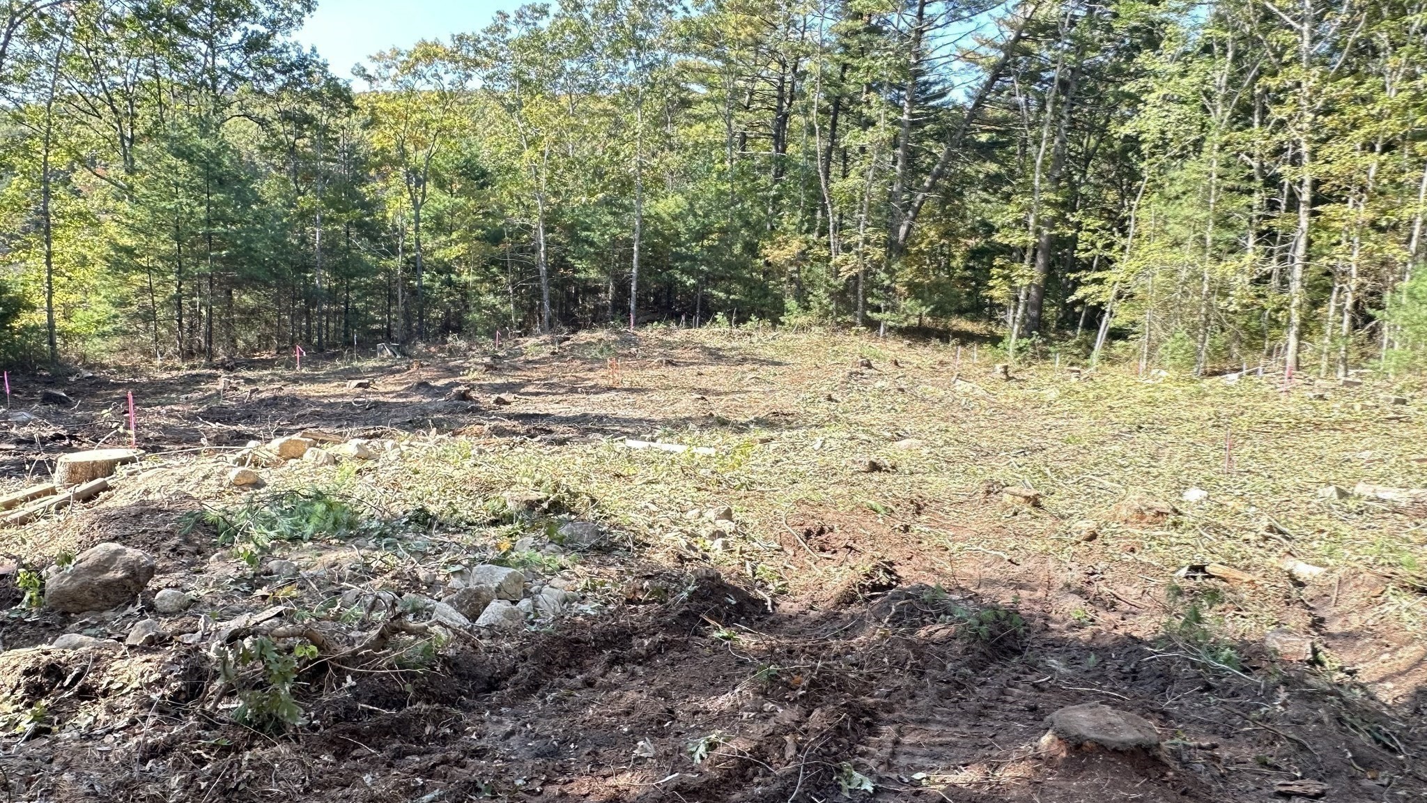 221 Beaver Dam Rd Property Photo 10