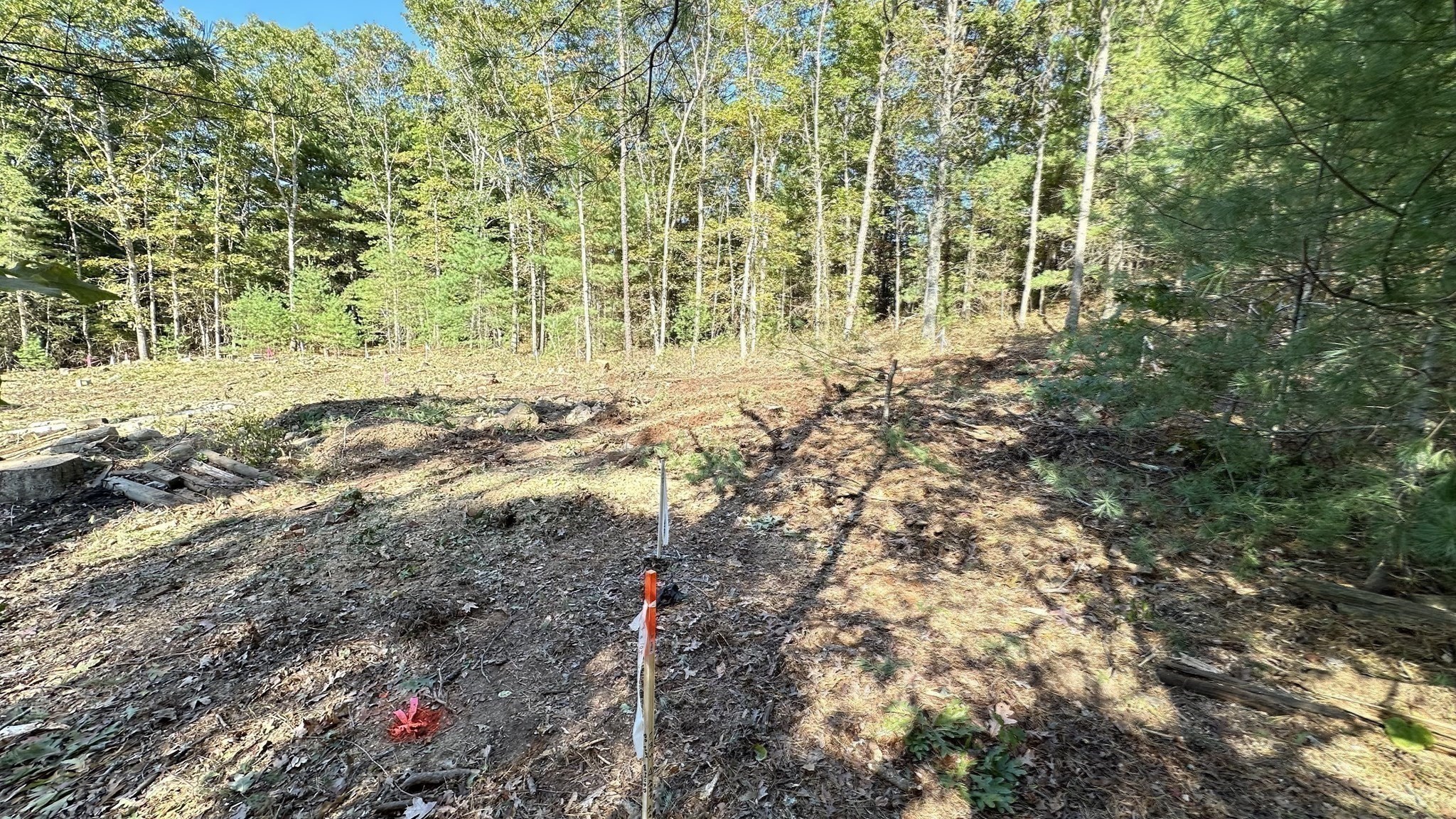 221 Beaver Dam Rd Property Photo 11