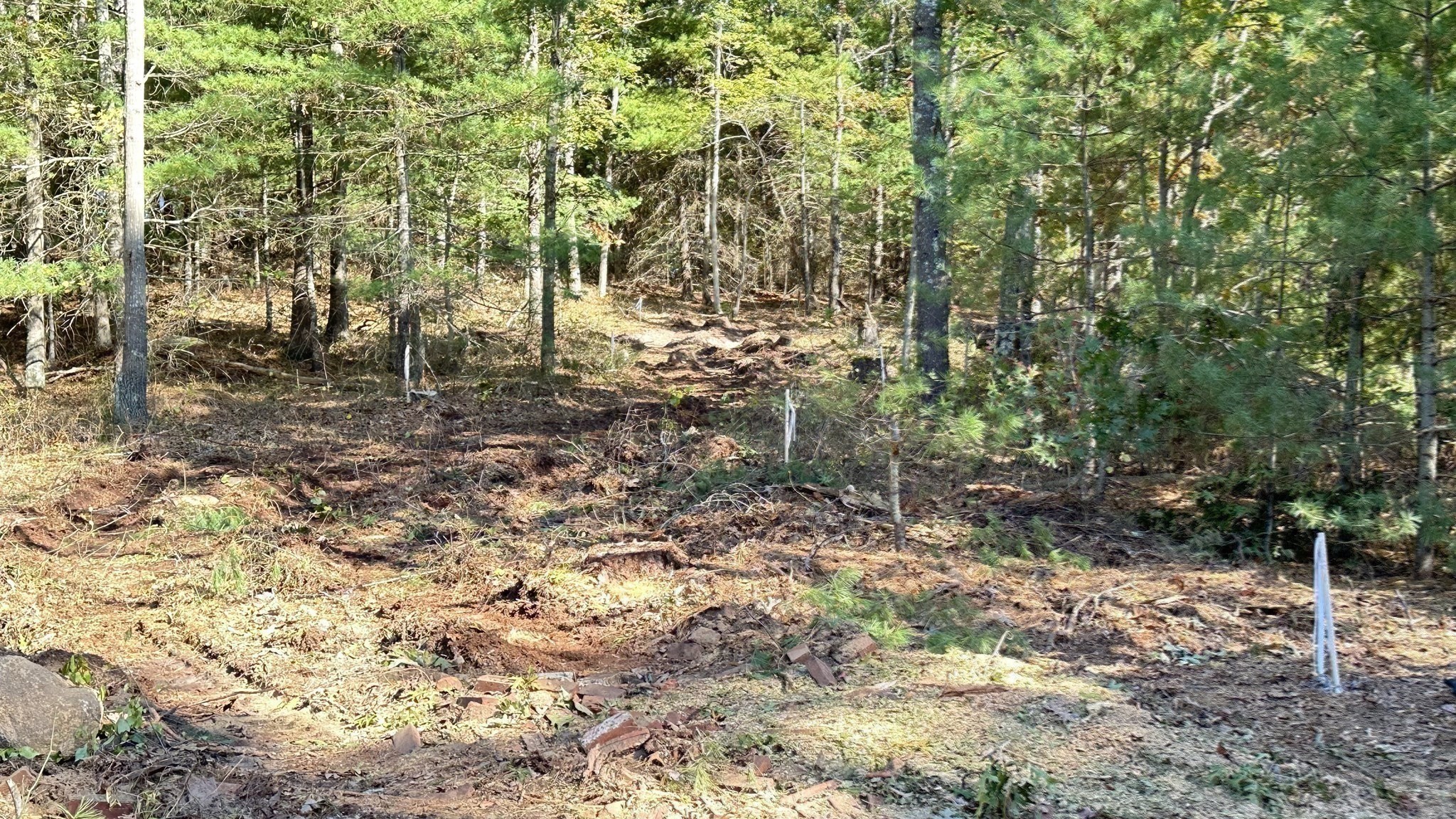 221 Beaver Dam Rd Property Photo 14