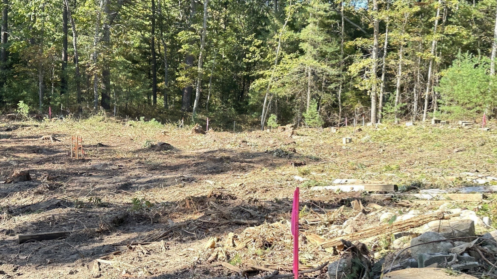 221 Beaver Dam Rd Property Photo 15