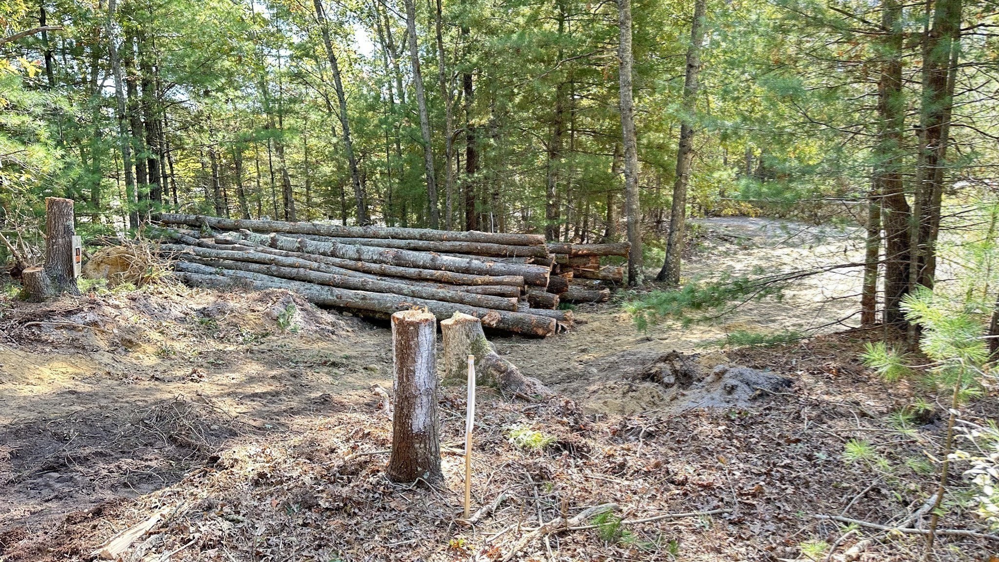 221 Beaver Dam Rd Property Photo 17