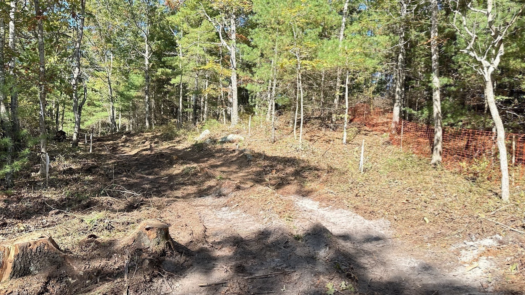 221 Beaver Dam Rd Property Photo 18