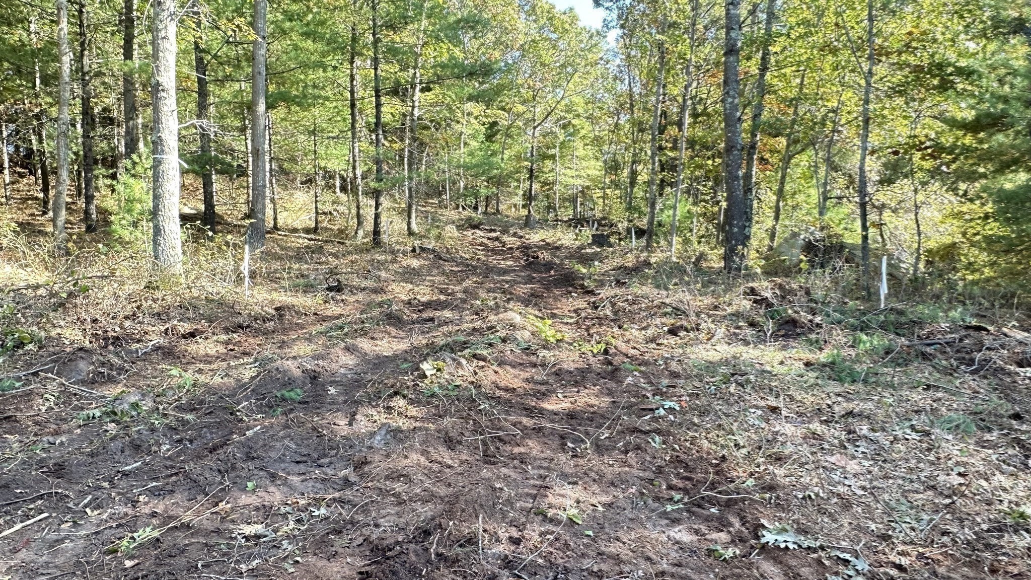 221 Beaver Dam Rd Property Photo 20