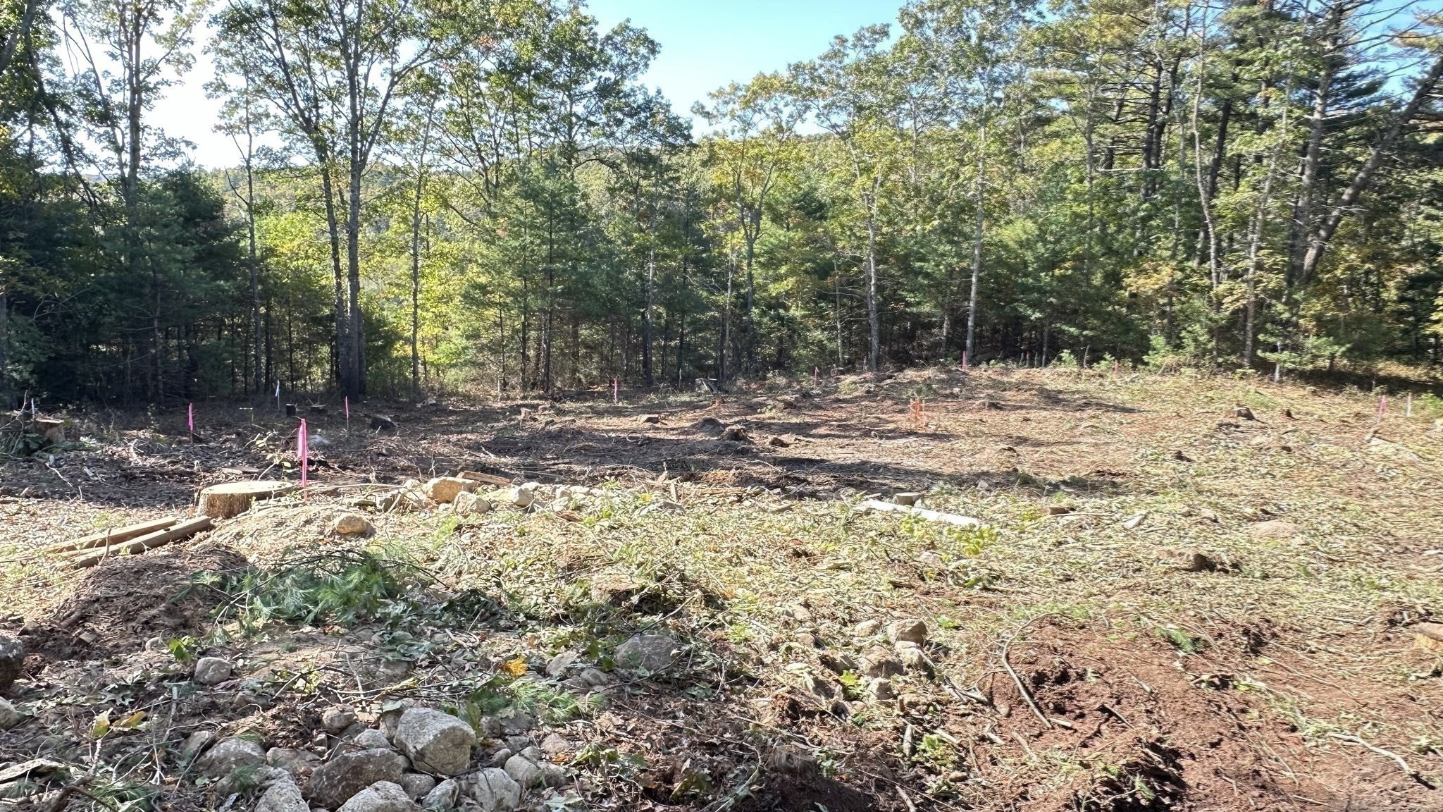 221 Beaver Dam Rd Property Photo 22