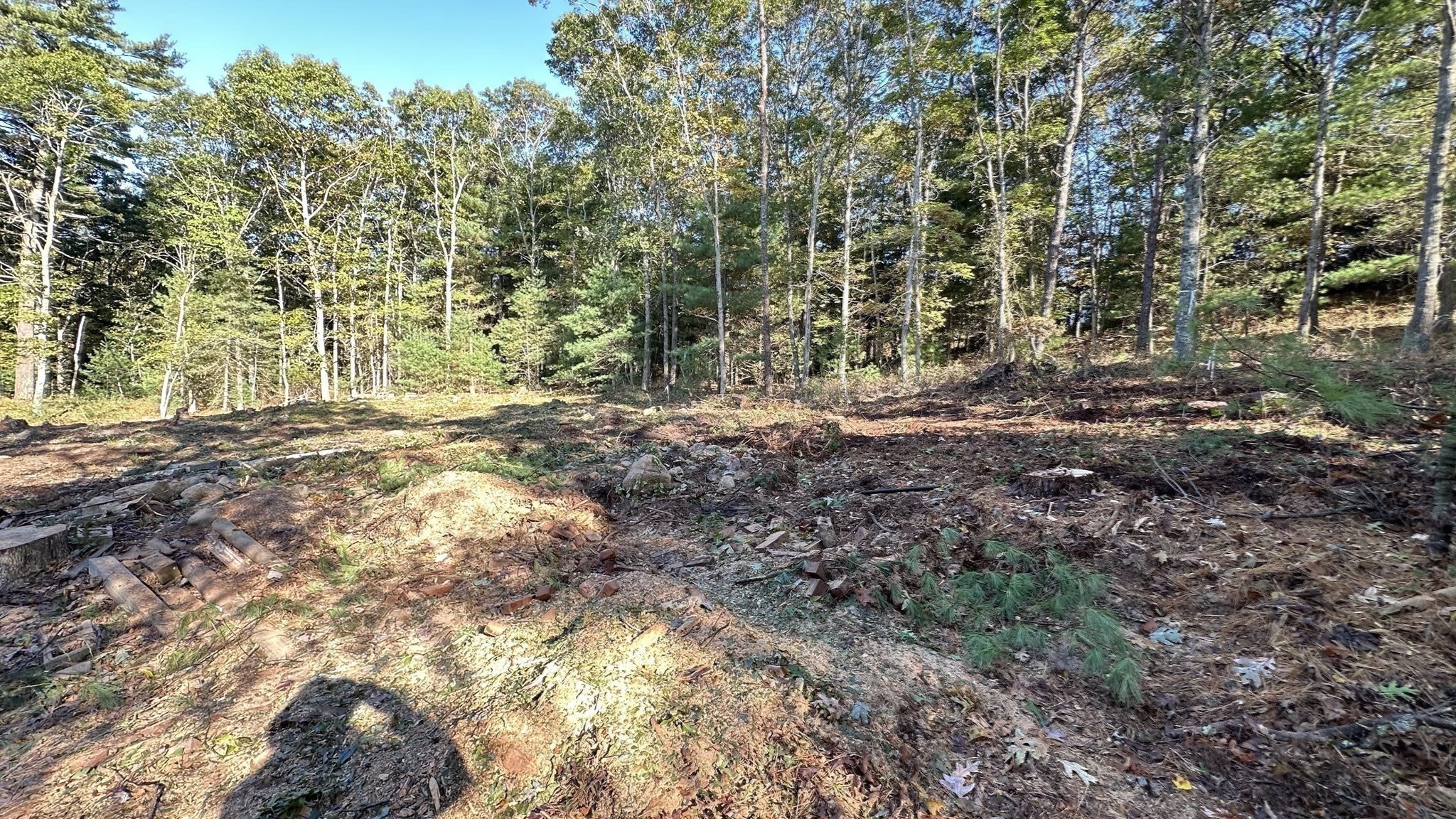 221 Beaver Dam Rd Property Photo 24