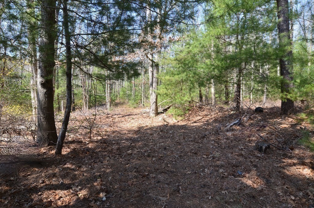 221 Beaver Dam Rd Property Photo 26