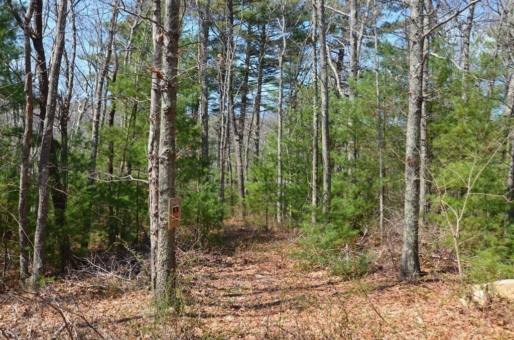 221 Beaver Dam Rd Property Photo 27