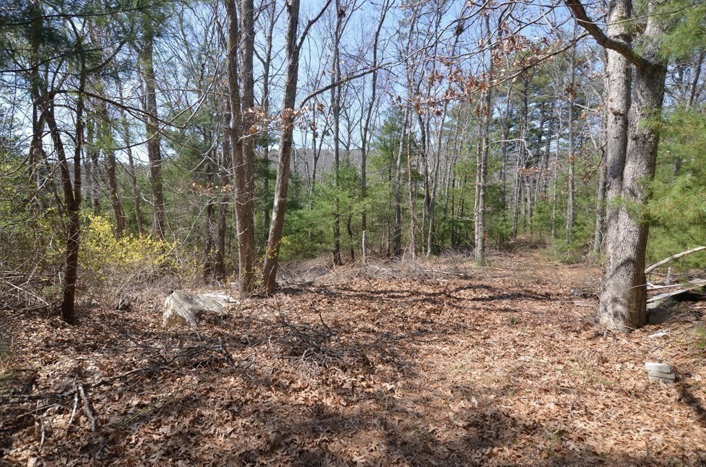 221 Beaver Dam Rd Property Photo 28
