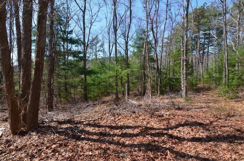 221 Beaver Dam Rd Property Photo 29