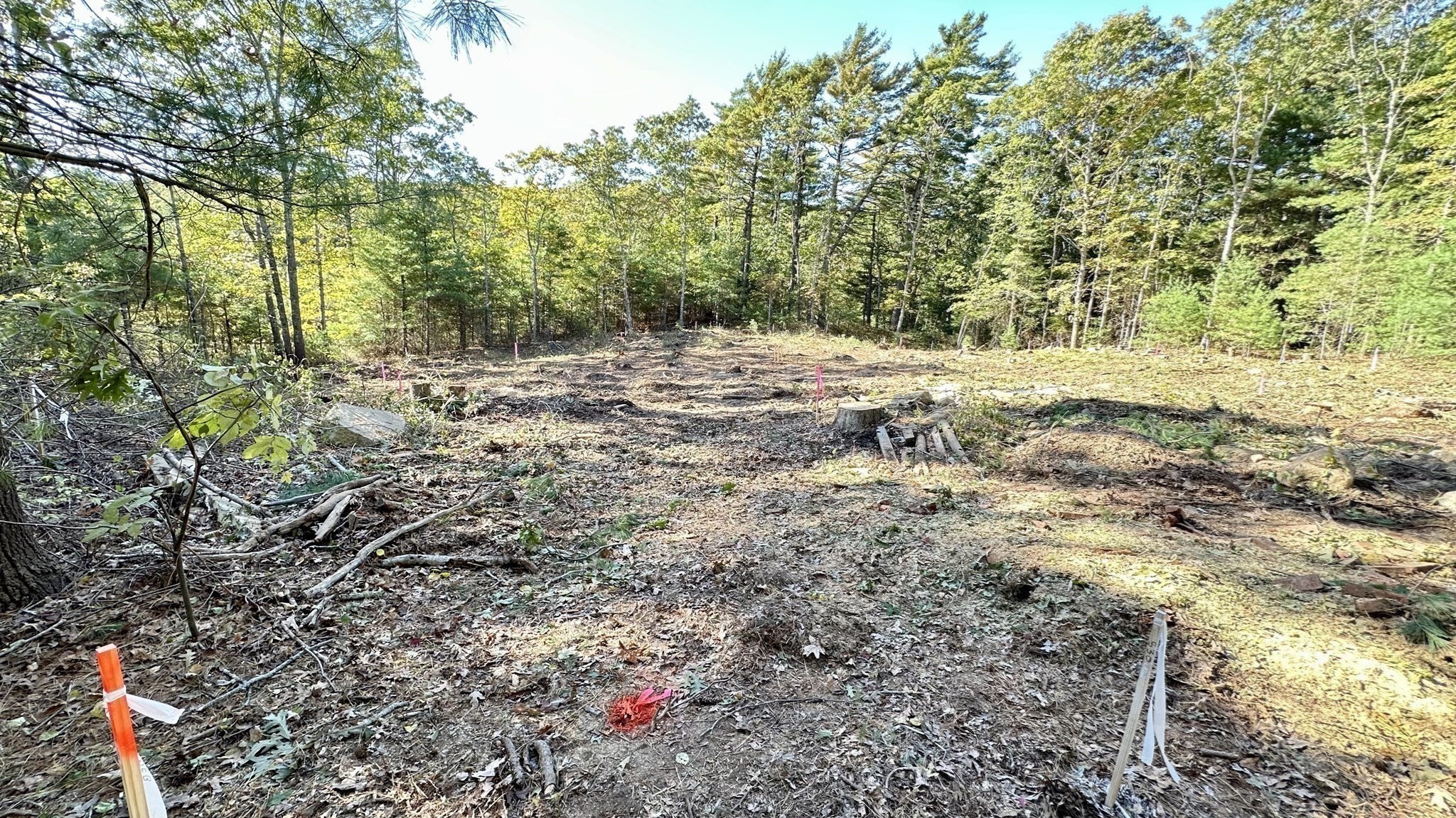 221 Beaver Dam Rd Property Photo 30