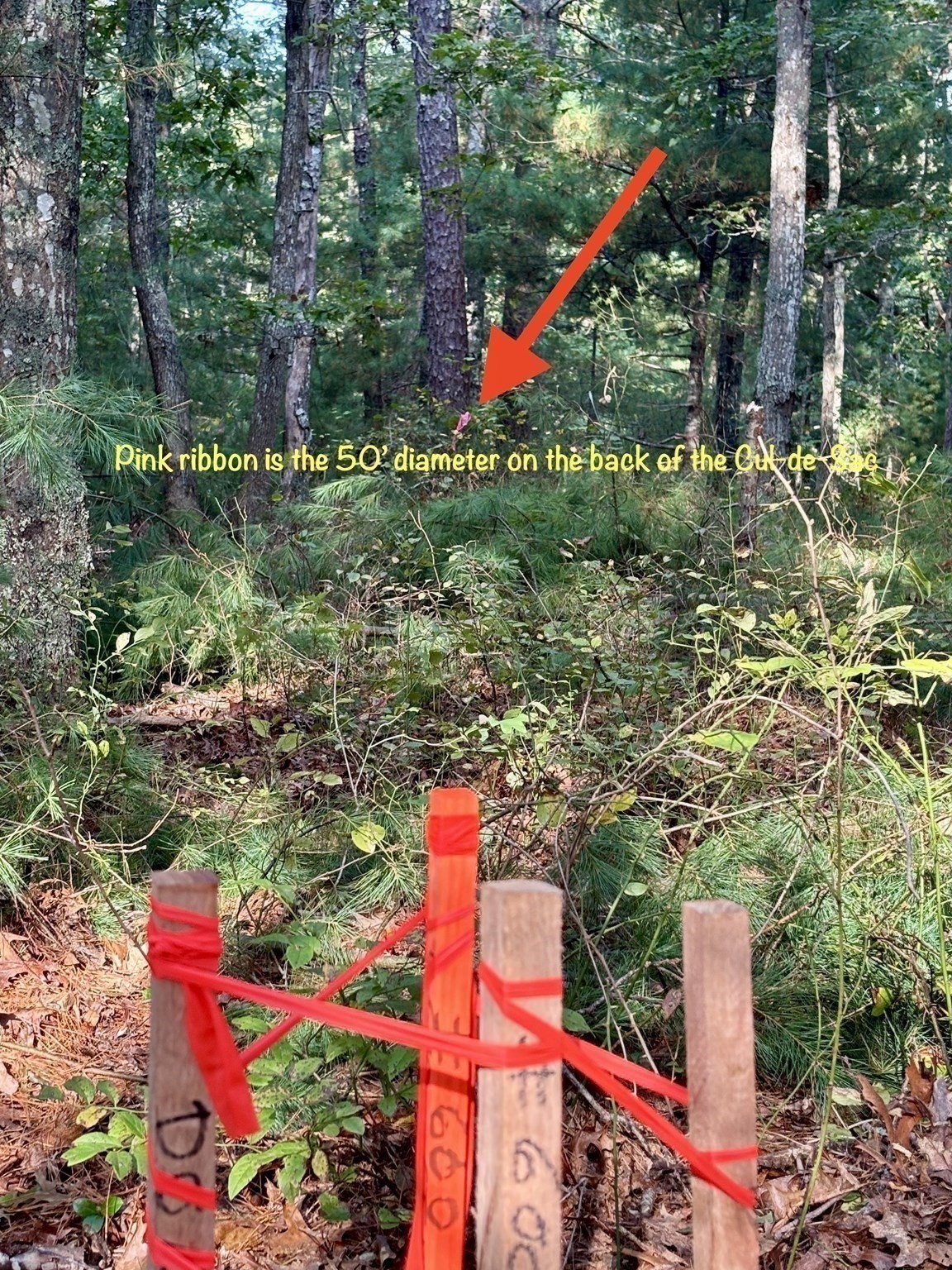 221 Beaver Dam Rd Property Photo 32
