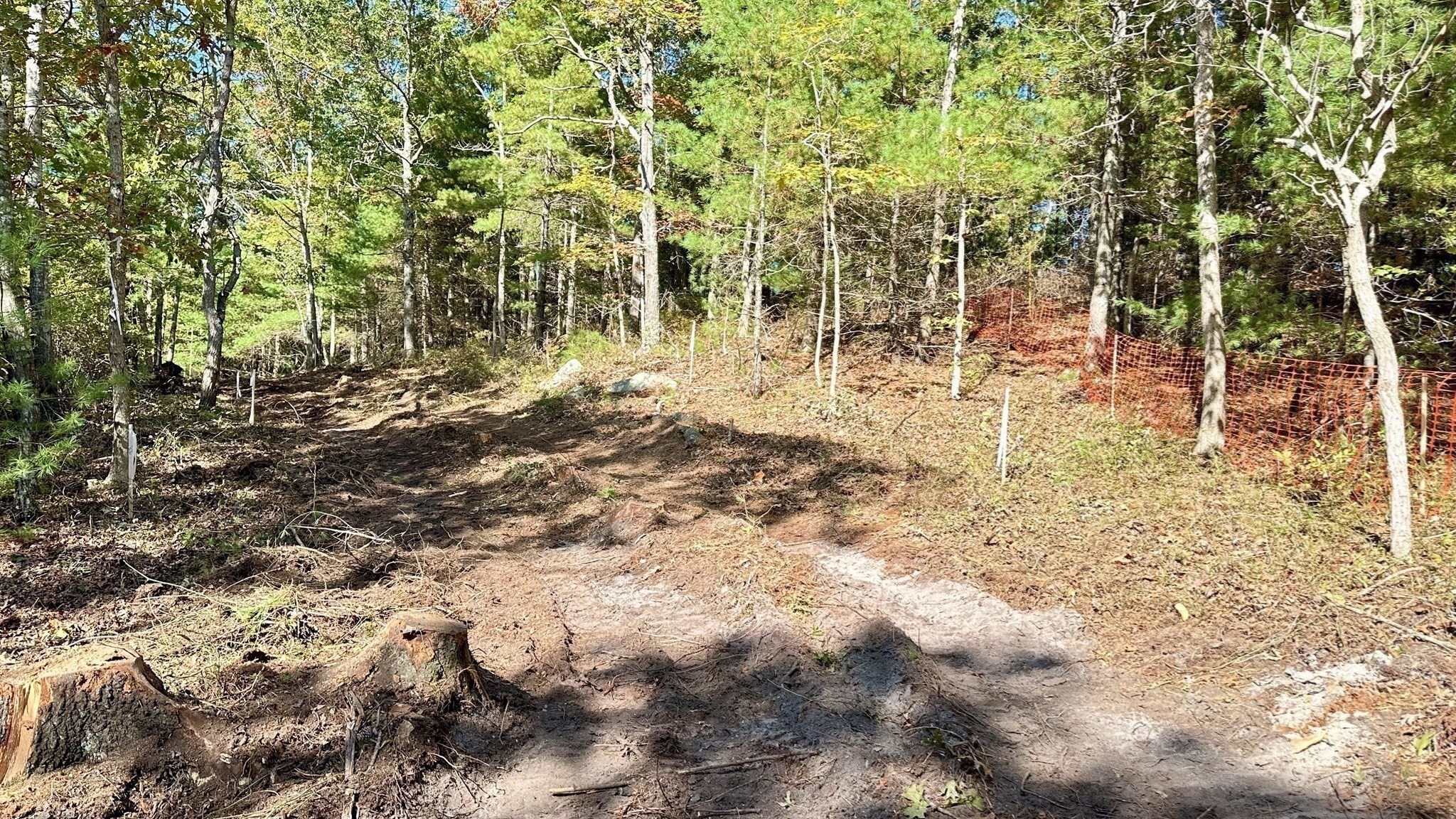 221 Beaver Dam Rd Property Photo 33