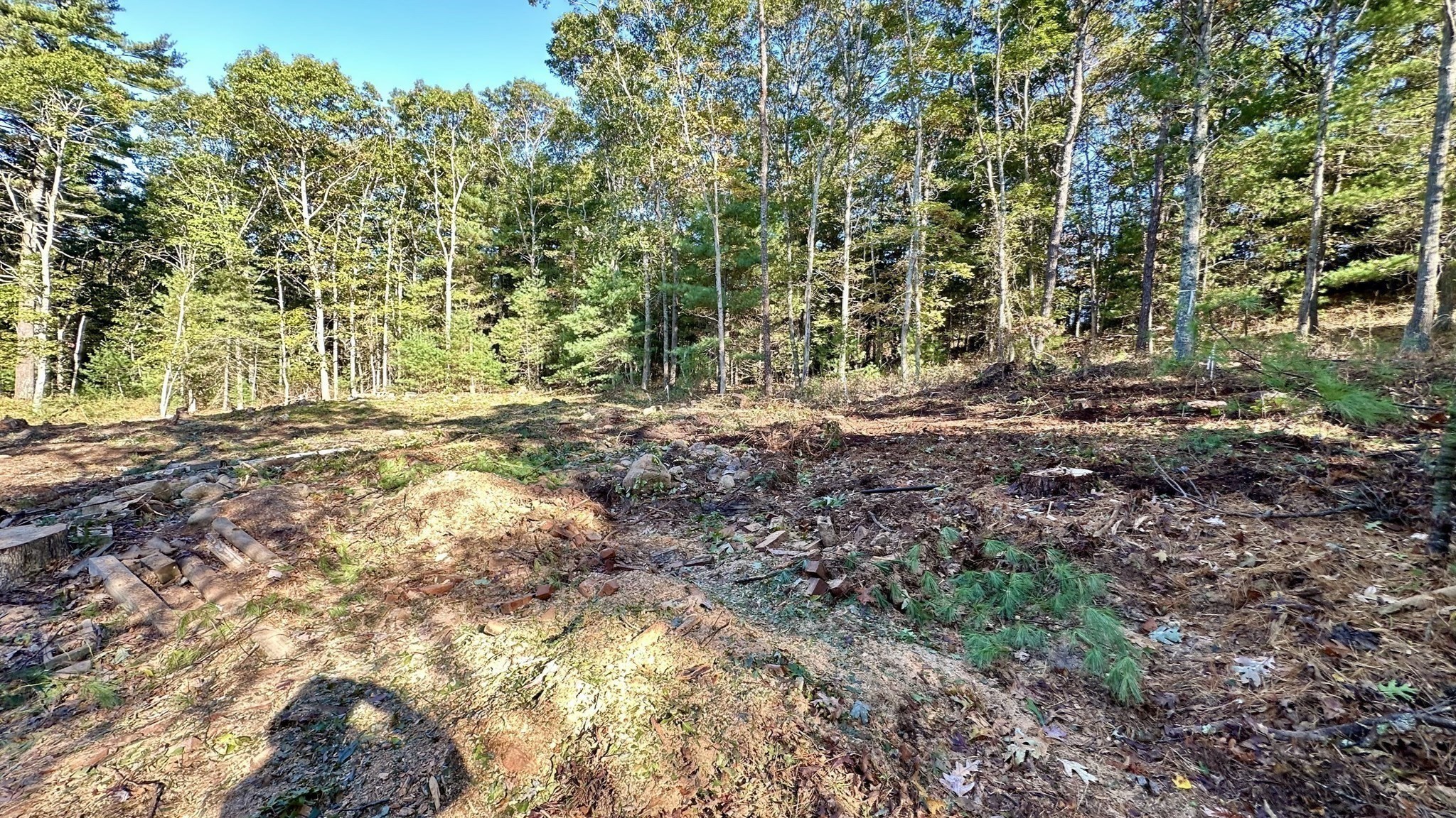 221 Beaver Dam Rd Property Photo 37