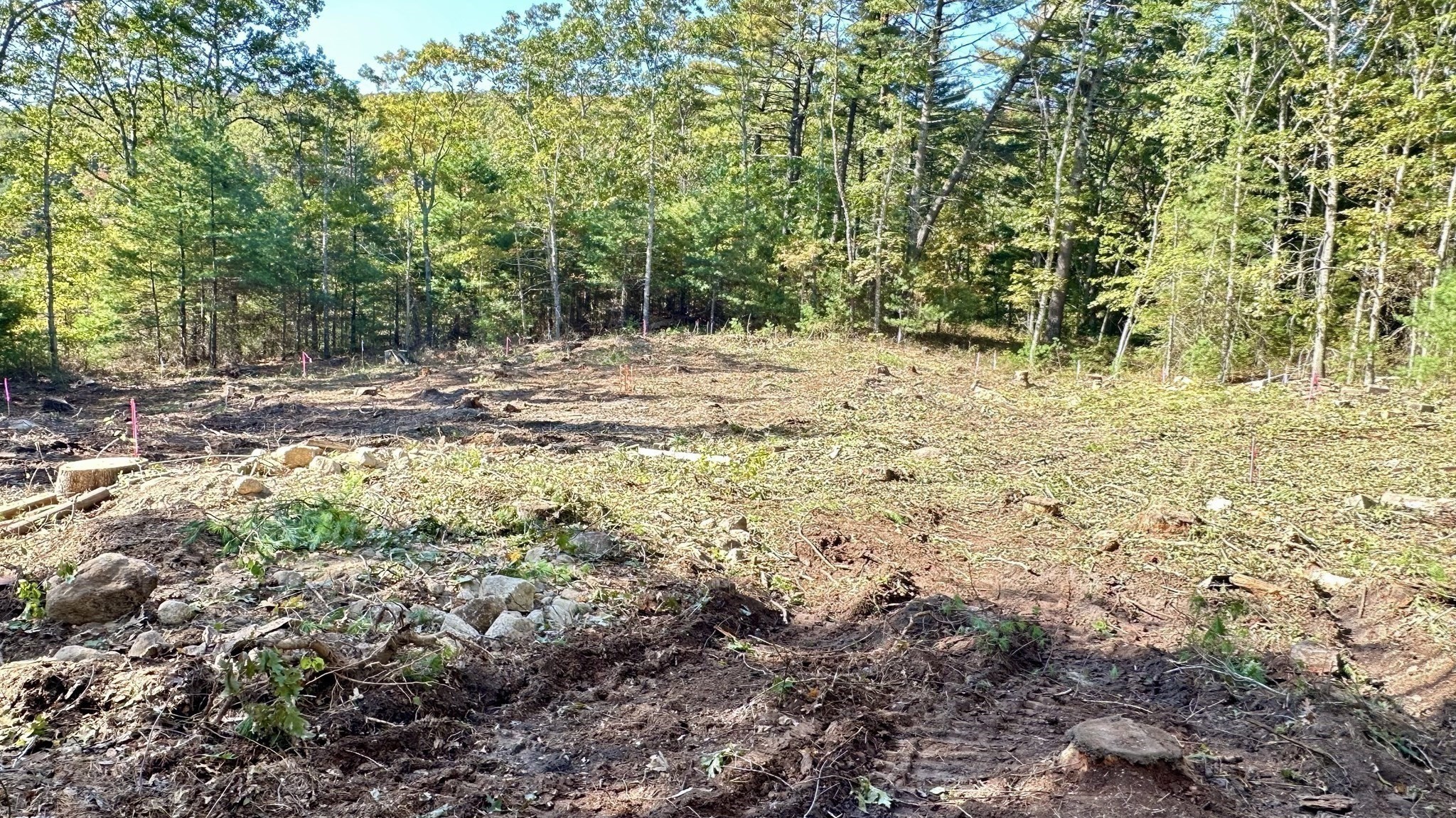 221 Beaver Dam Rd Property Photo 39