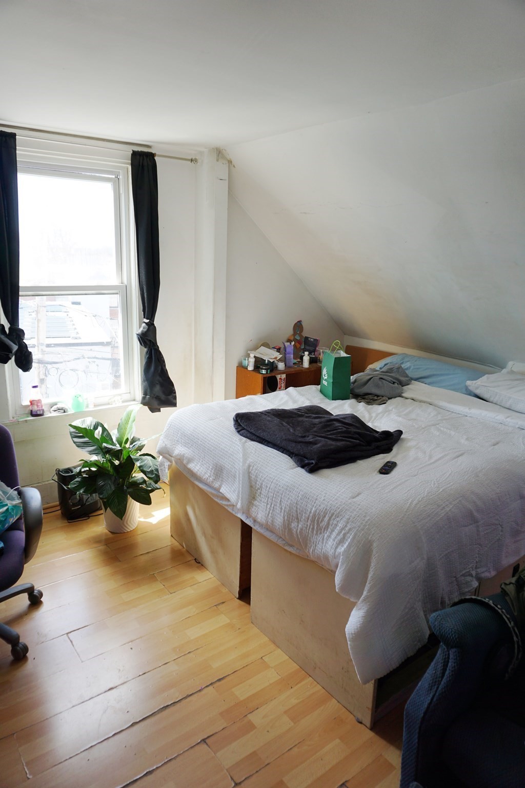 27 Shaw St Property Photo 25