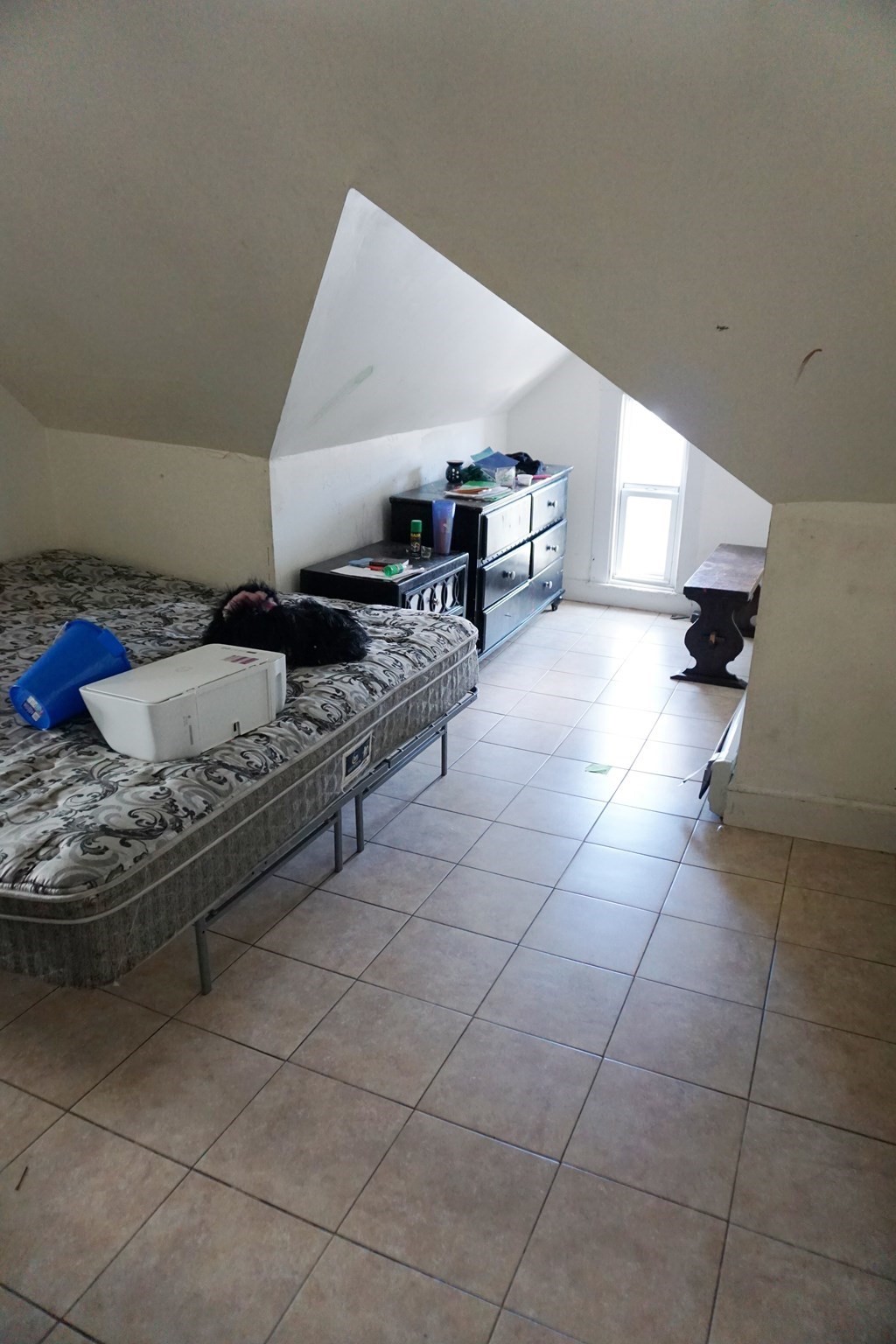 27 Shaw St Property Photo 26