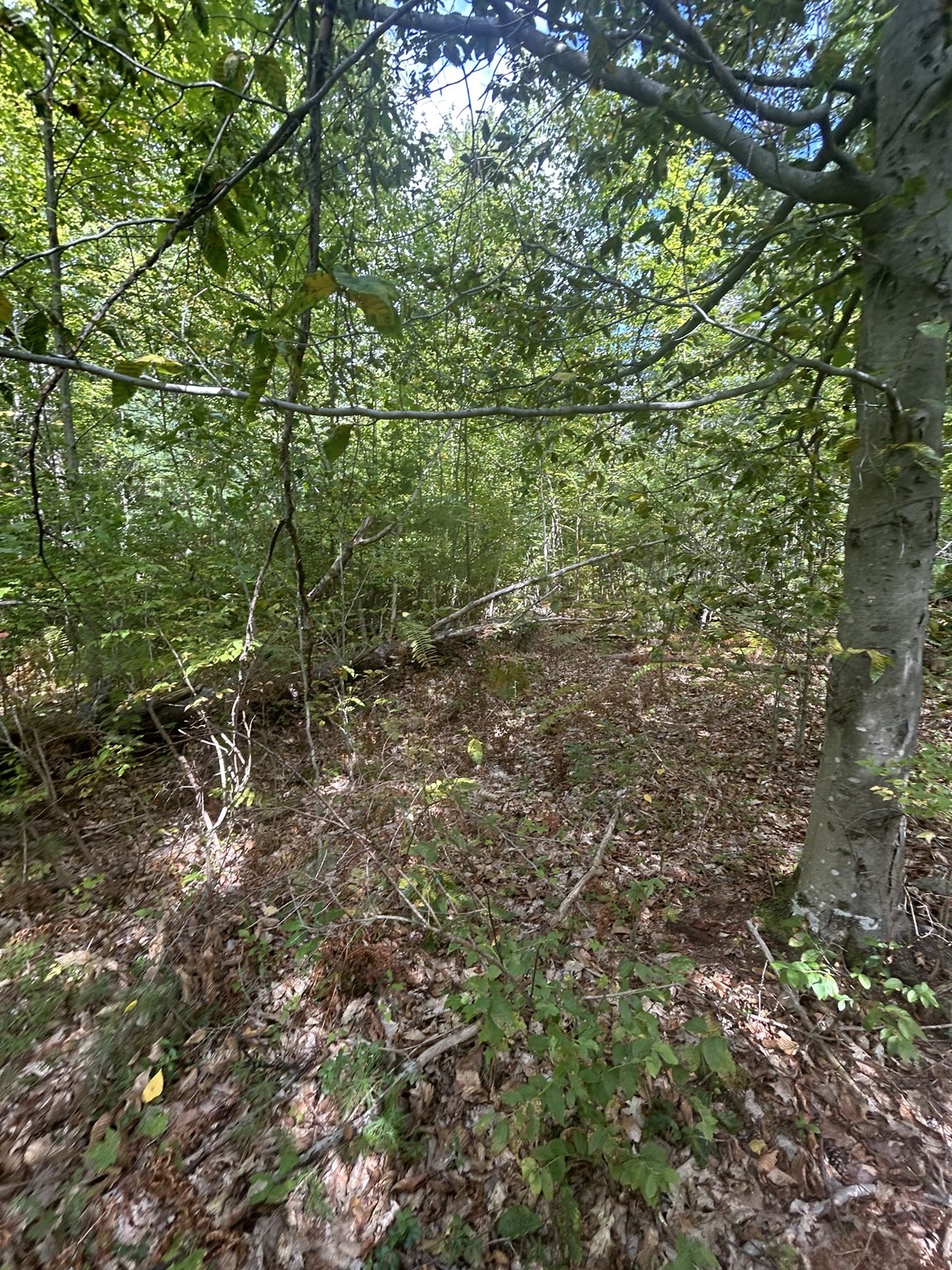 531 Mason Rd Property Photo 3