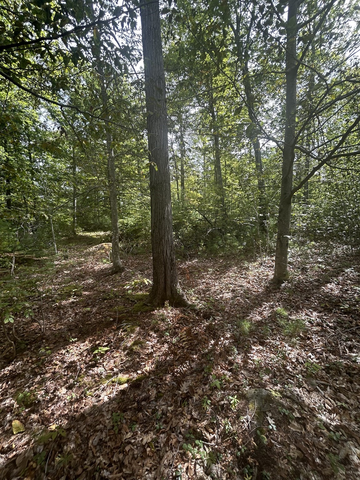 531 Mason Rd Property Photo 5