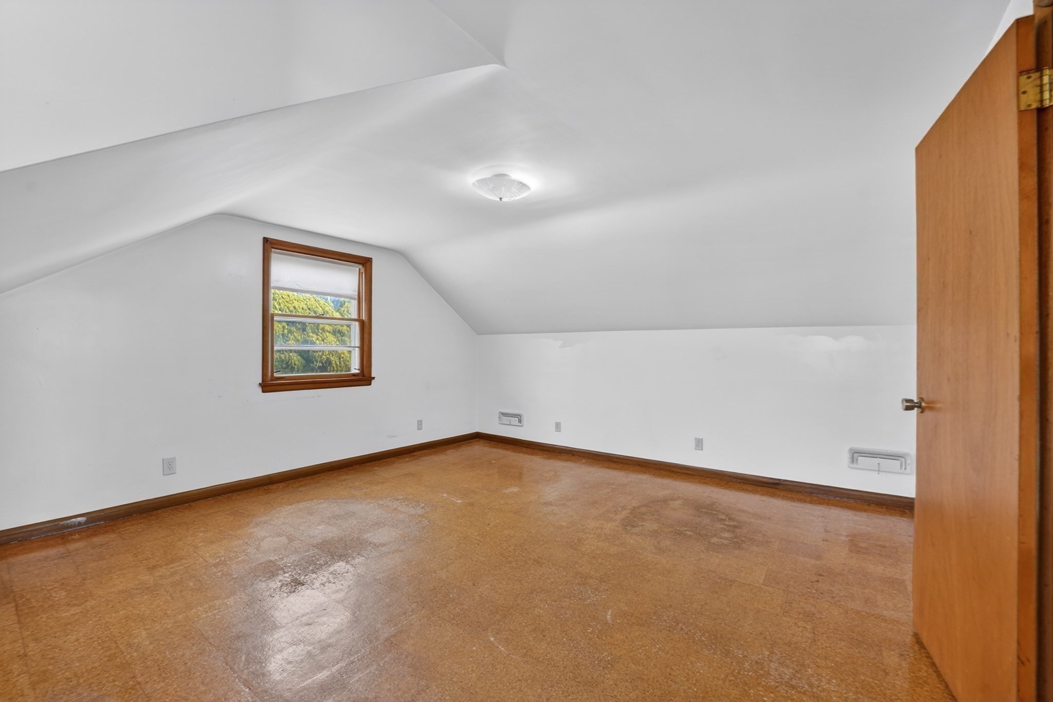 6 Desmond Dr Property Photo 23