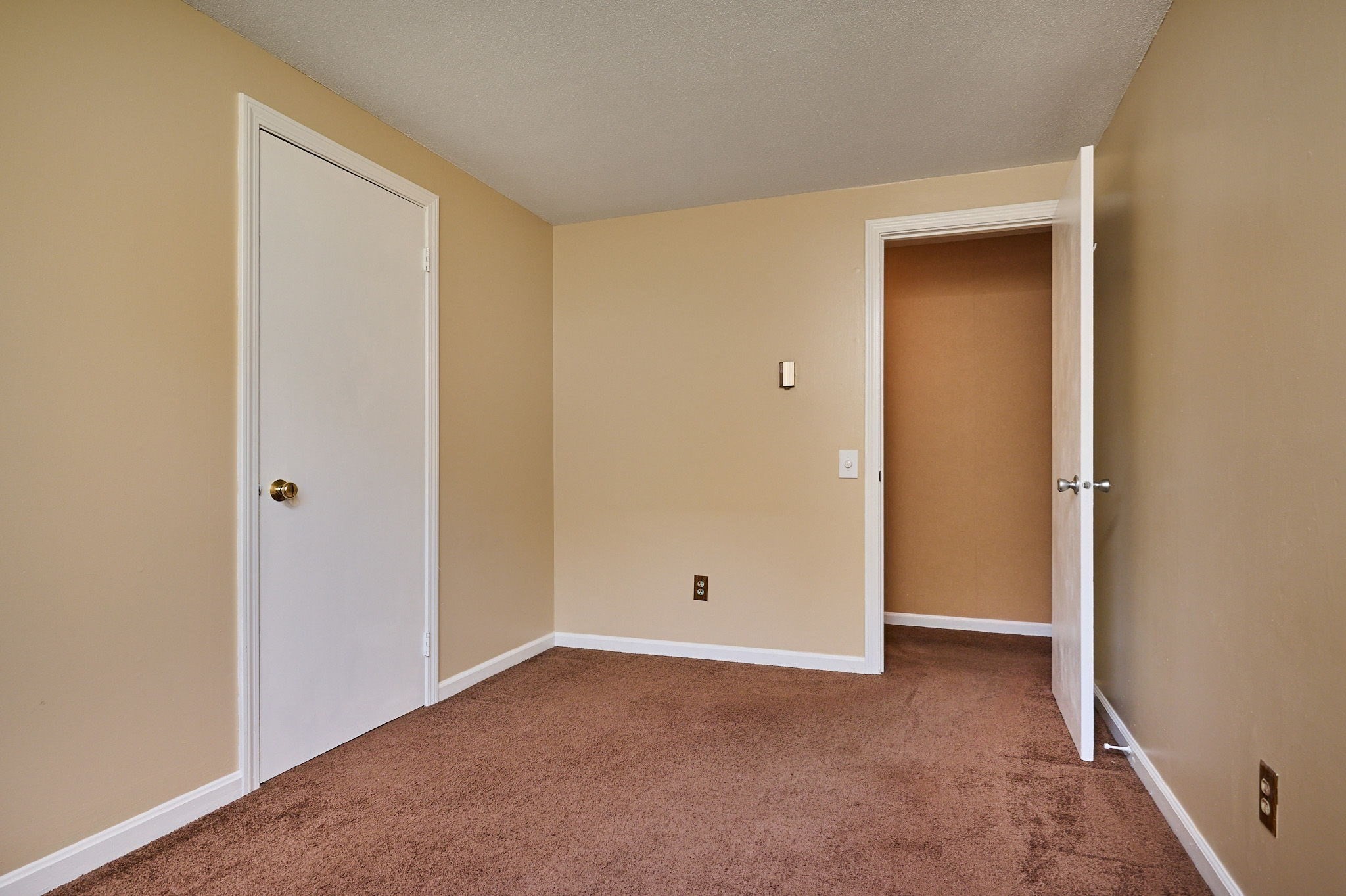 50 Phelps St Property Photo 15