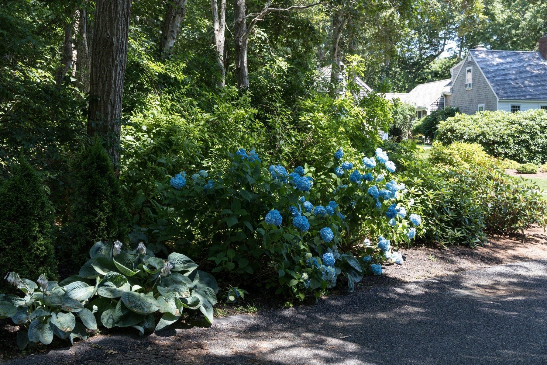 17 Sky Meadow Drive Property Photo 2