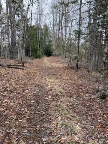 0 Number 9 Rd Property Photo 3