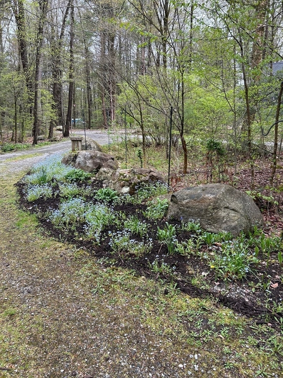 32 Woodchuck Hollow Property Photo 17