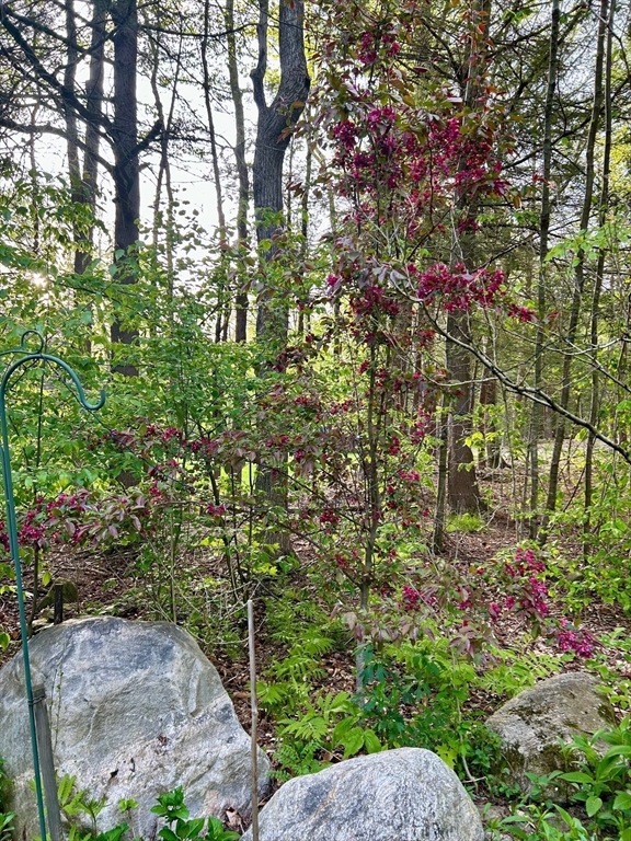 32 Woodchuck Hollow Property Photo 32
