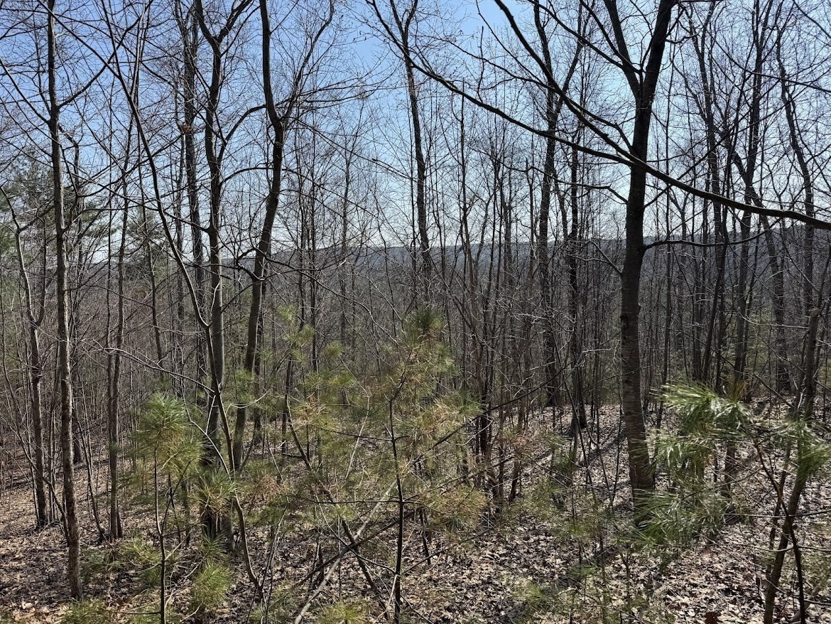 0b Brimfield Rd Property Photo 1