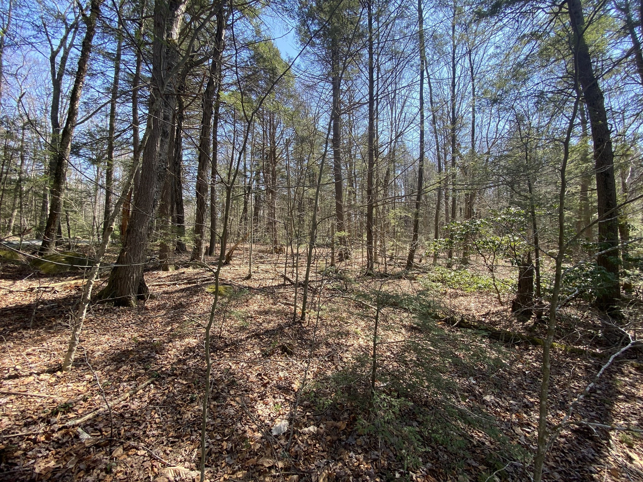 Lot 43 South Village Rd Property Photo 2
