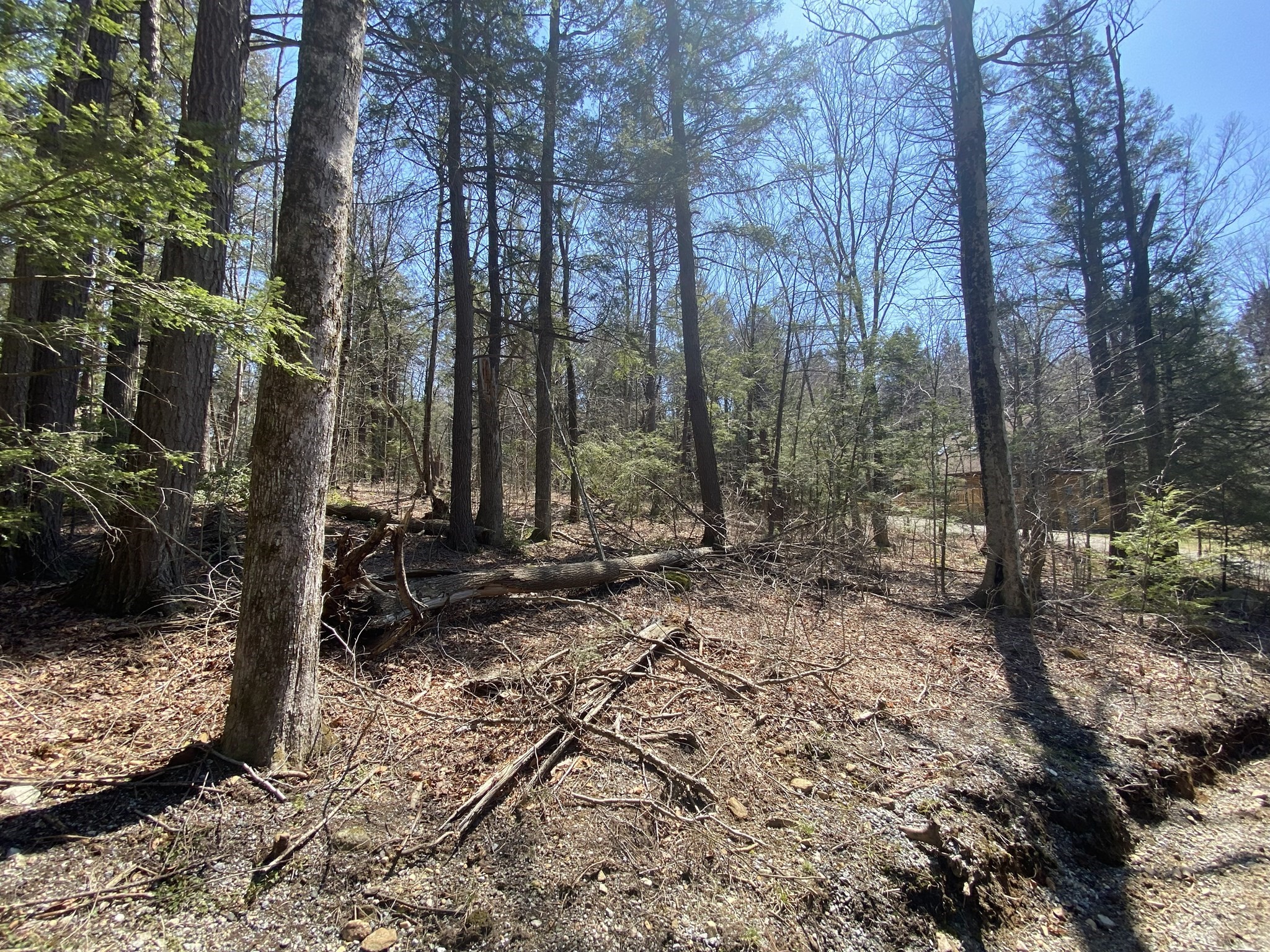 Lot 43 South Village Rd Property Photo 3
