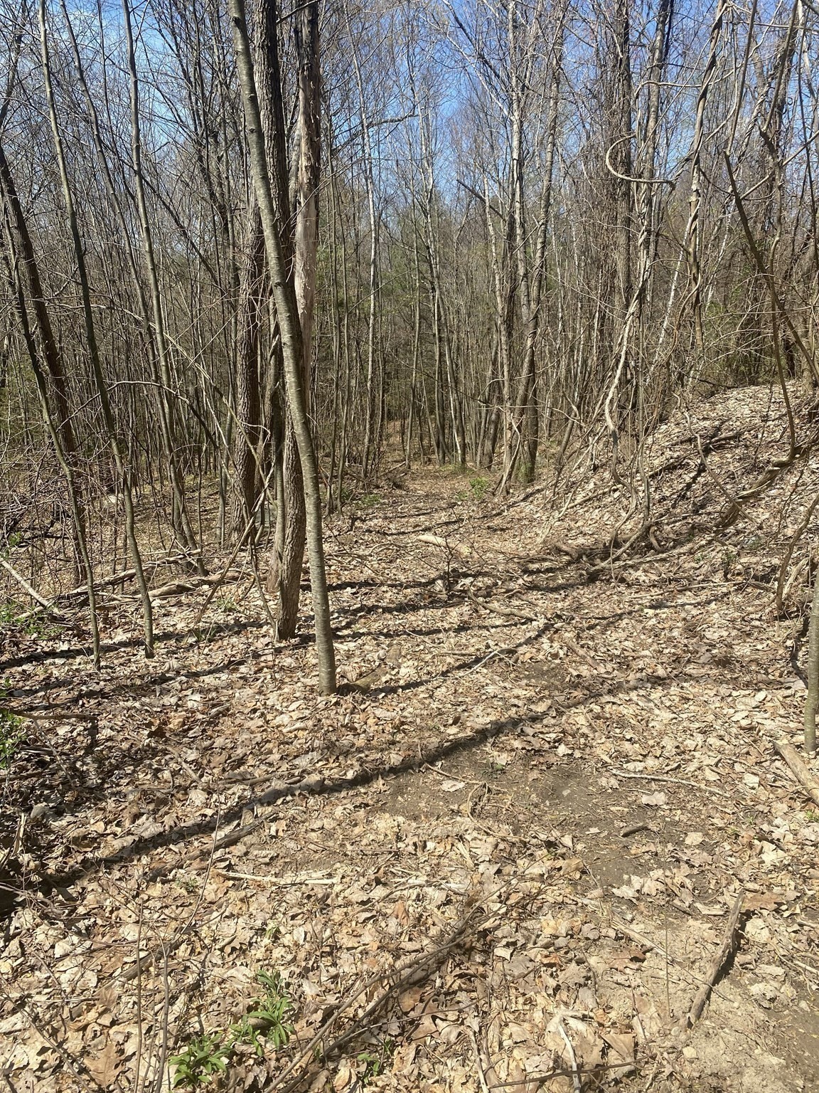 117 Munsing Ridge Property Photo 4