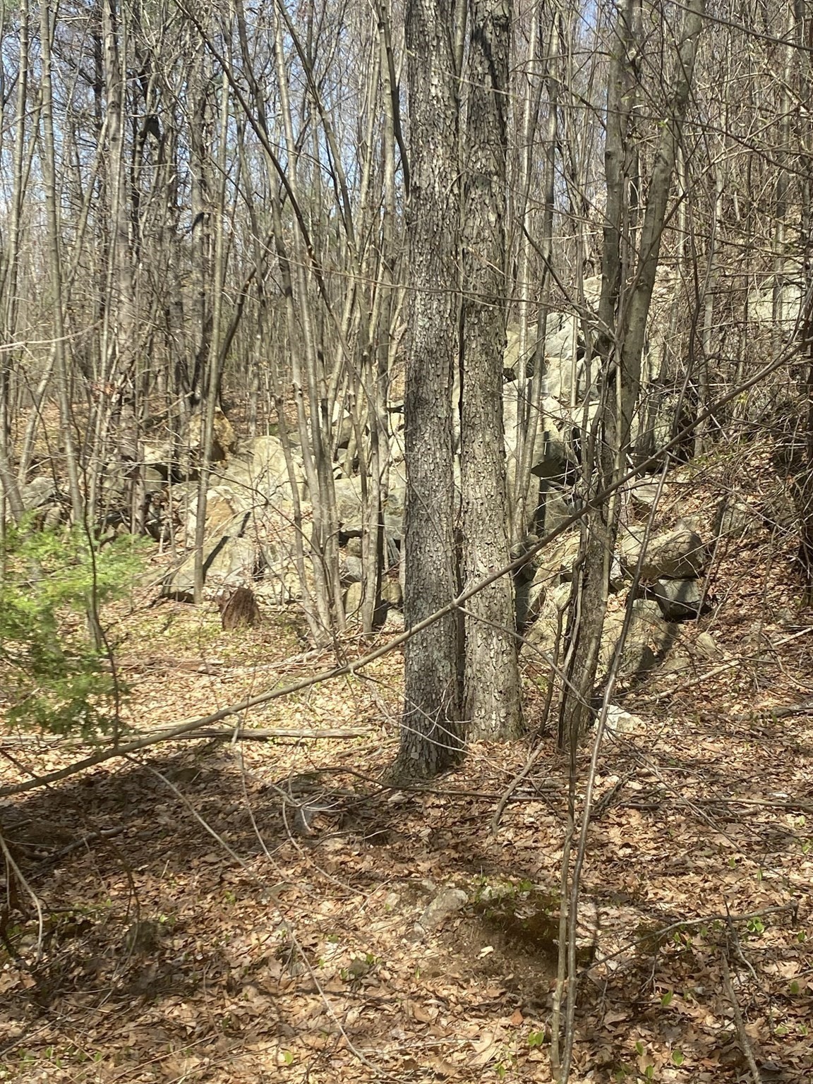 117 Munsing Ridge Property Photo 7