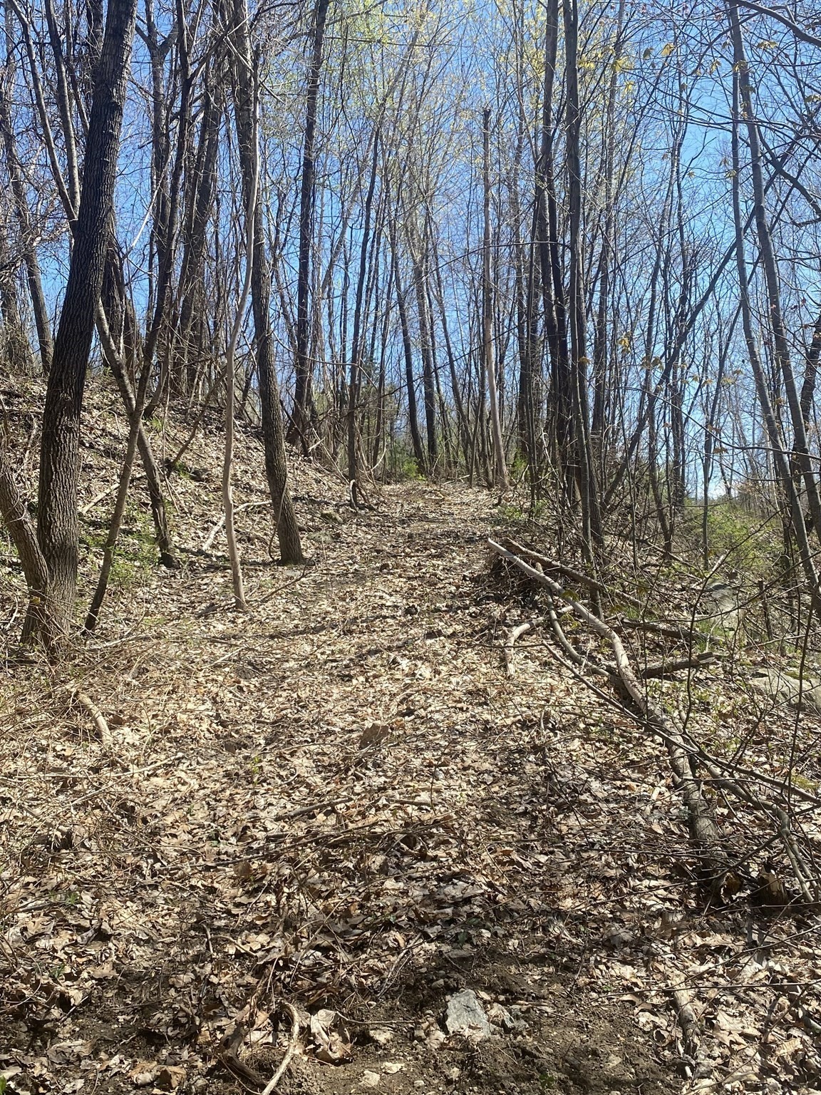 117 Munsing Ridge Property Photo 8