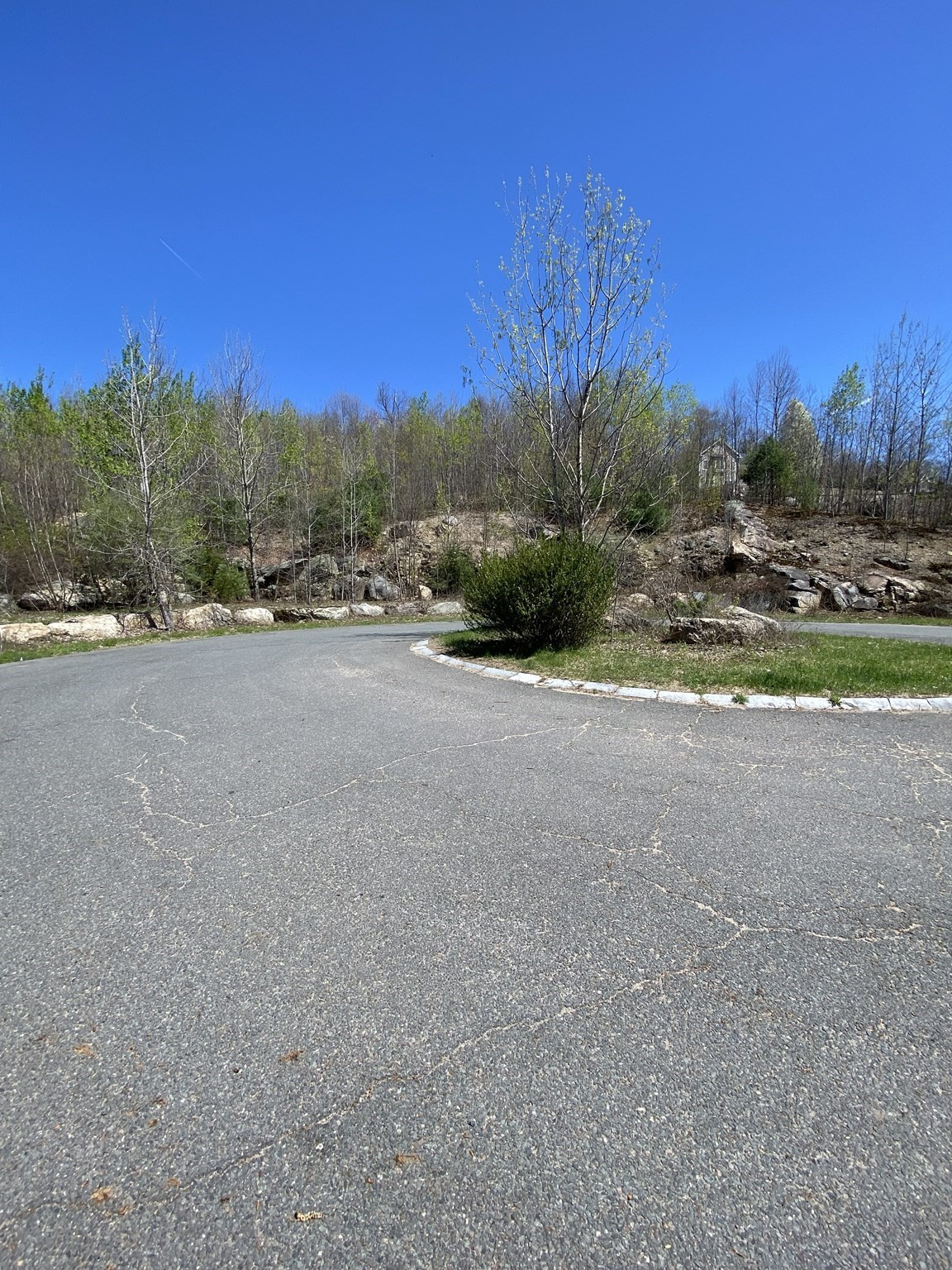 117 Munsing Ridge Property Photo 9