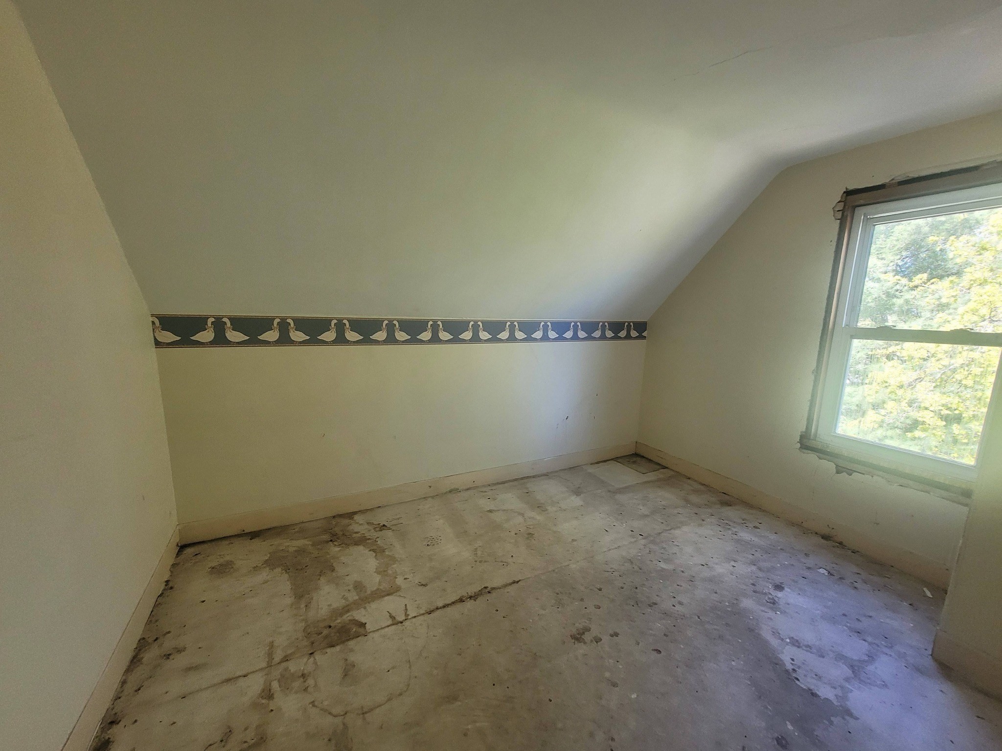 65 Wayland St Property Photo 22