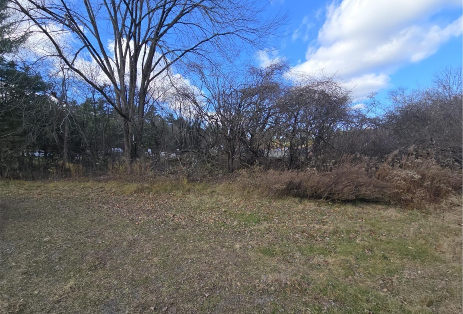 723 Dedham St Property Photo 5