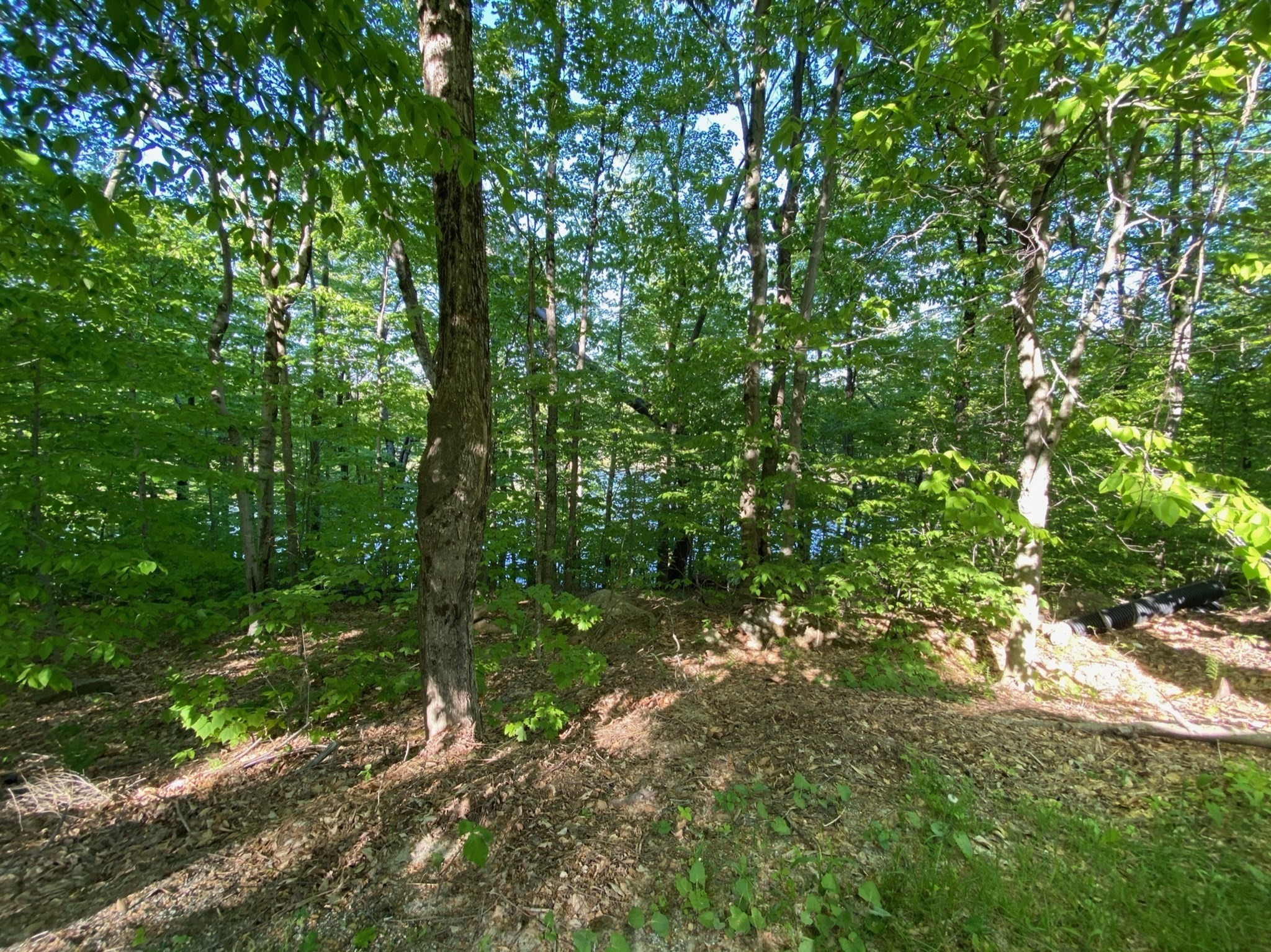 Parcel 216 King Richard Dr Property Photo 4