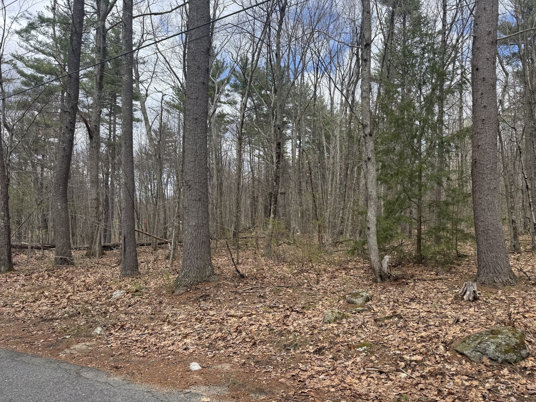 Lot 3 Murphy Rd. Property Photo 4