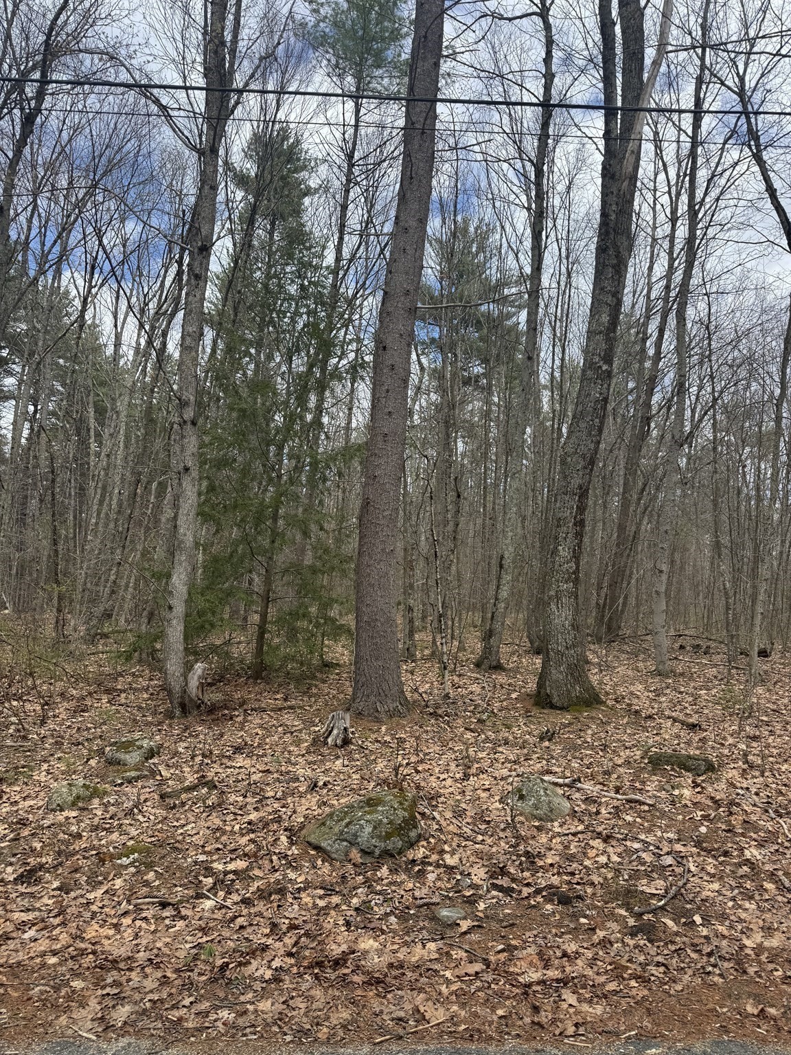 Lot 3 Murphy Rd. Property Photo 7