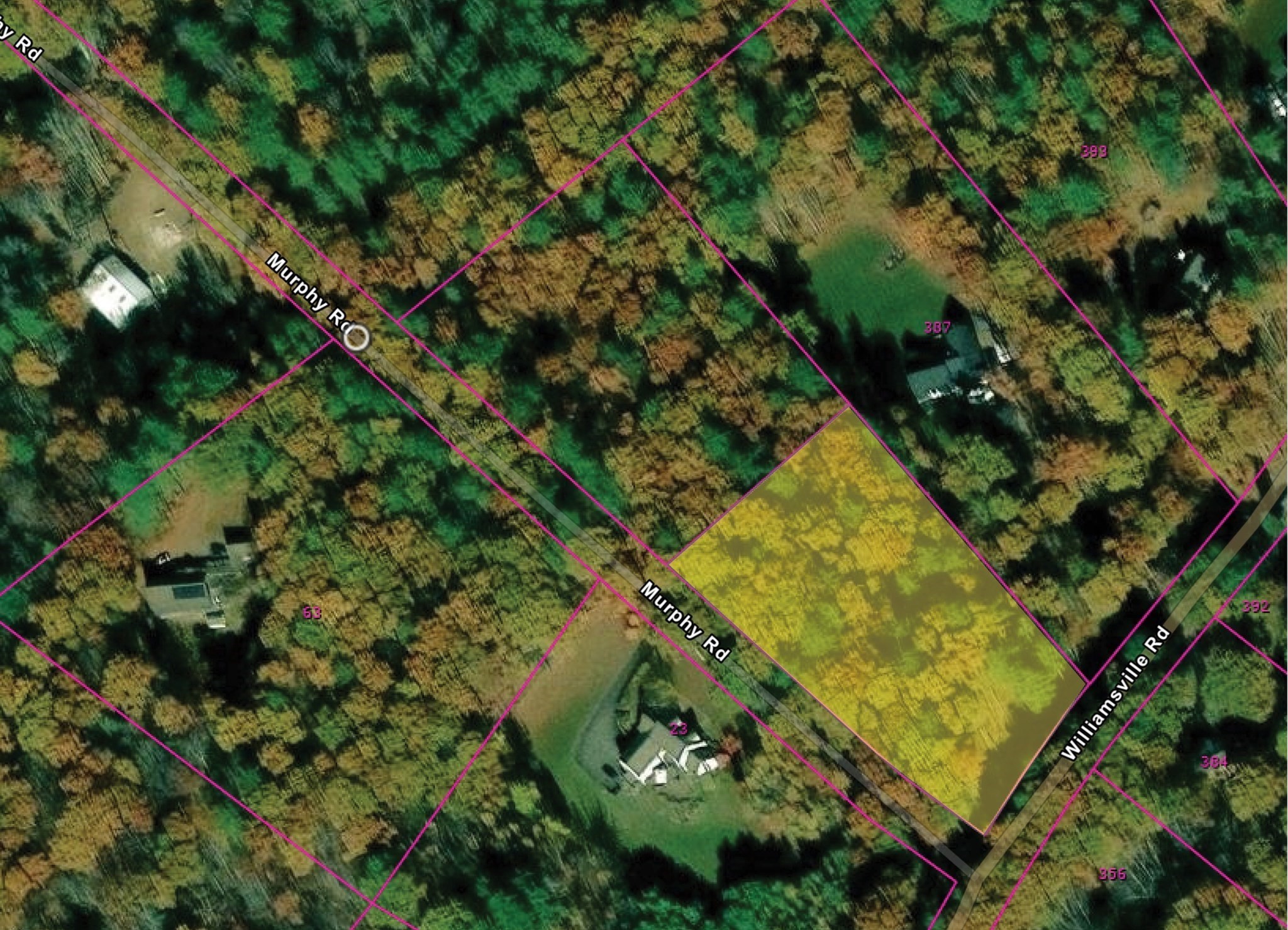 Lot 4 Murphy And Williamsville Roads Property Photo 2