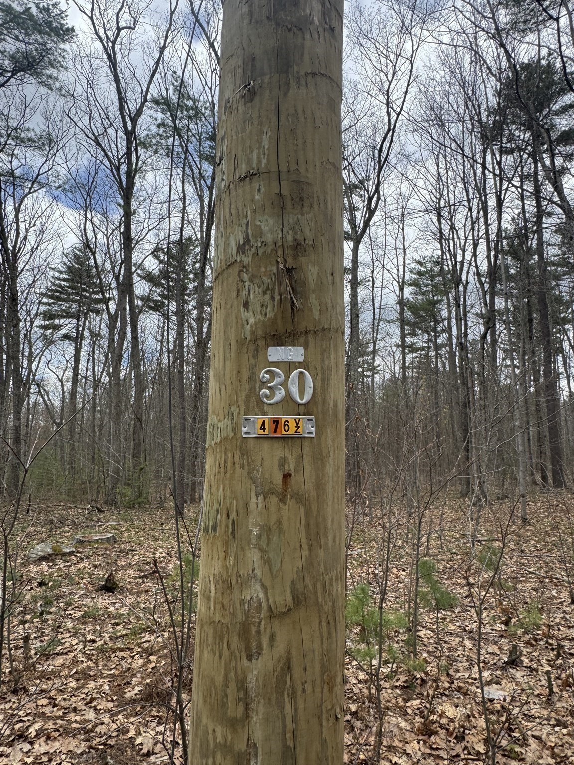 Lot 4 Murphy And Williamsville Roads Property Photo 4