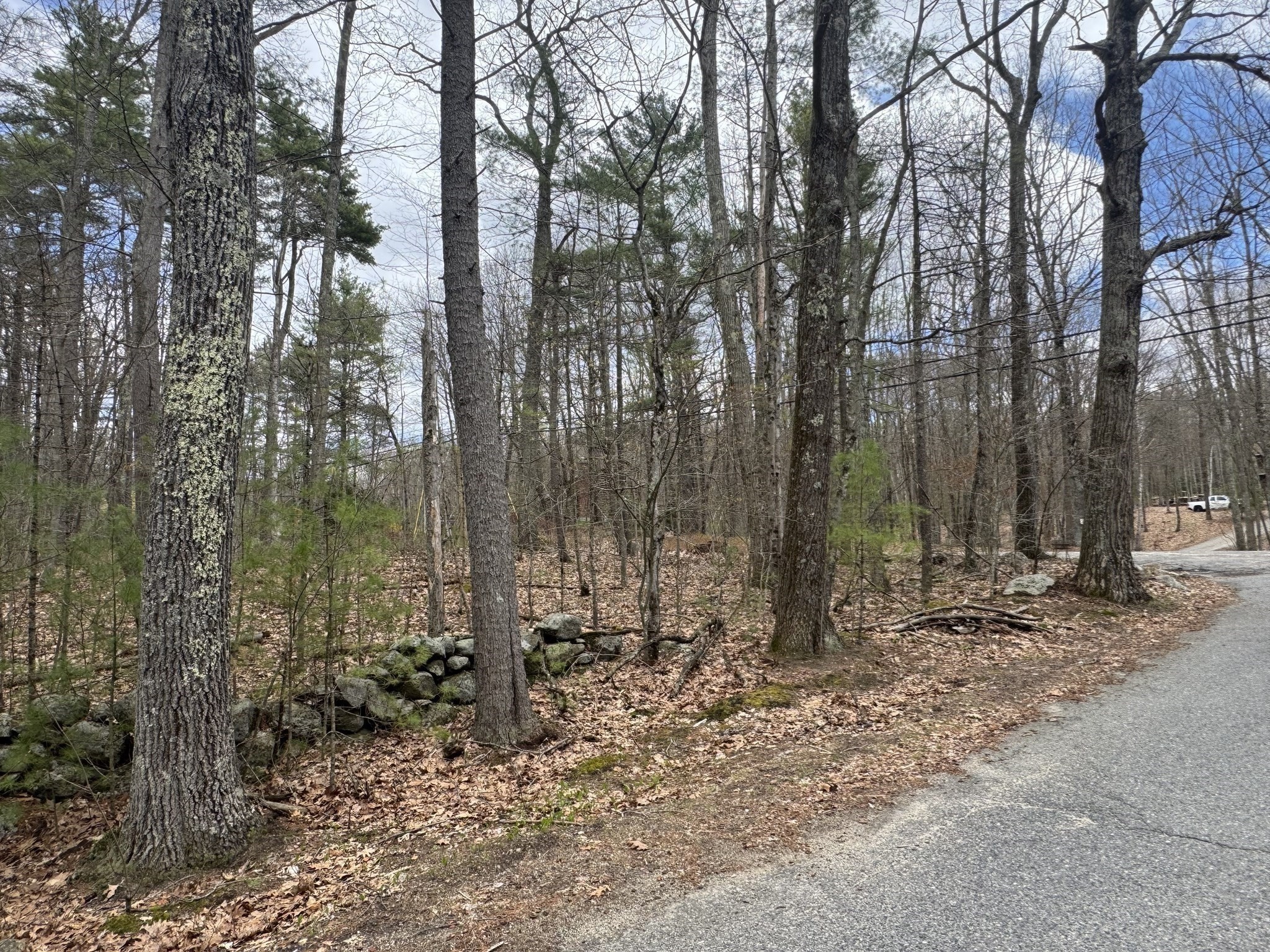 Lot 4 Murphy And Williamsville Roads Property Photo 5