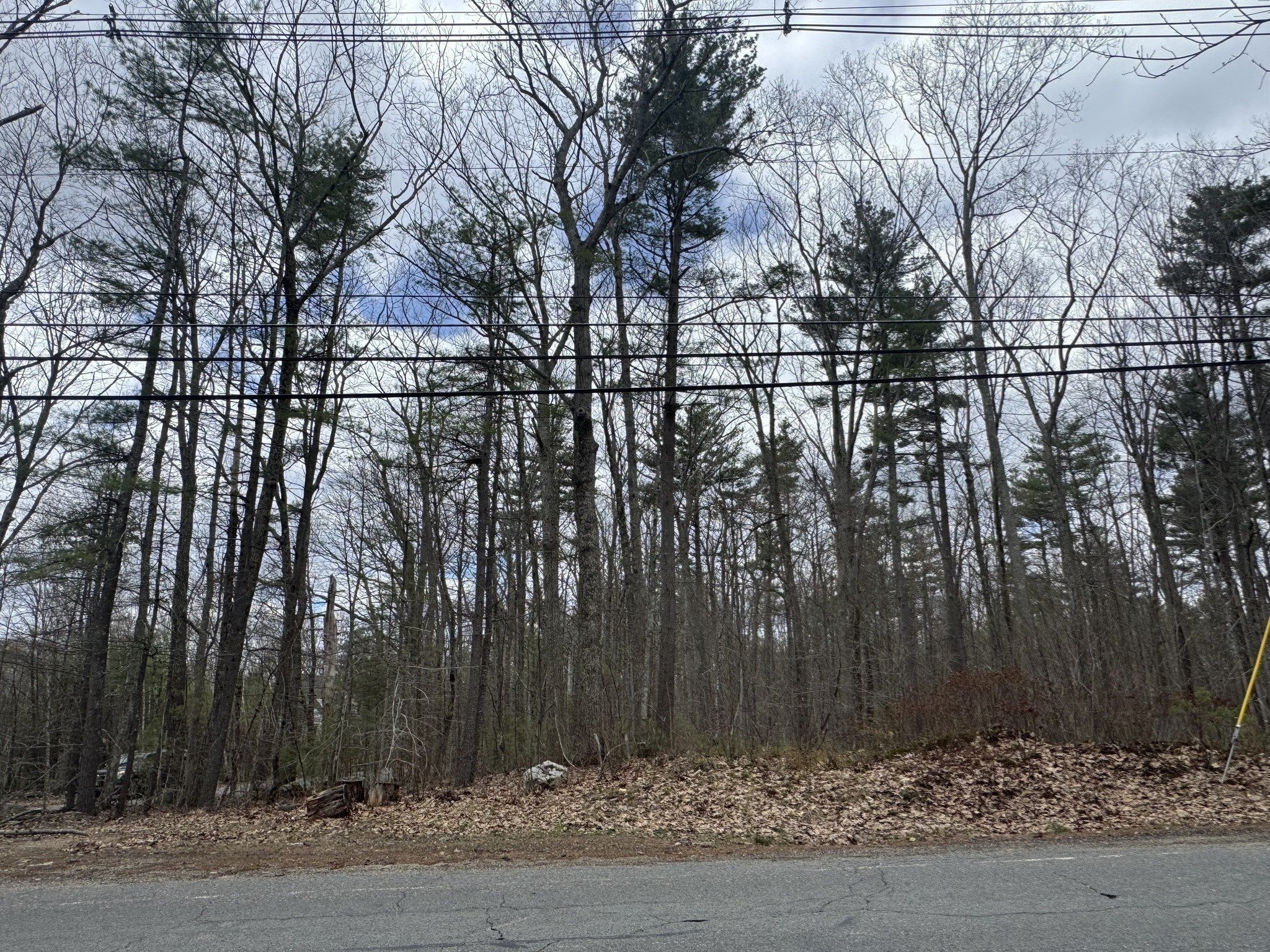 Lot 4 Murphy And Williamsville Roads Property Photo 6