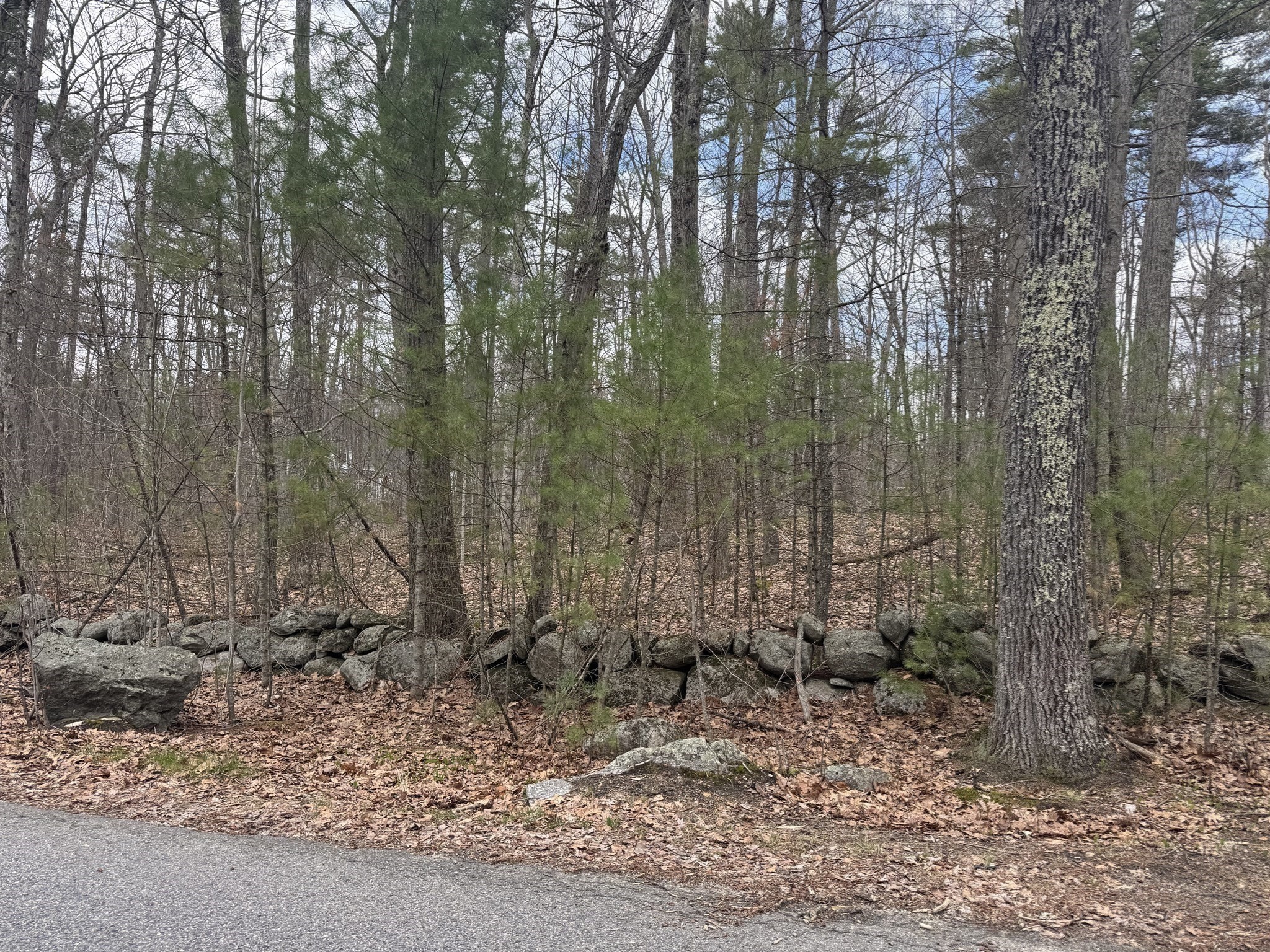 Lot 4 Murphy And Williamsville Roads Property Photo 7