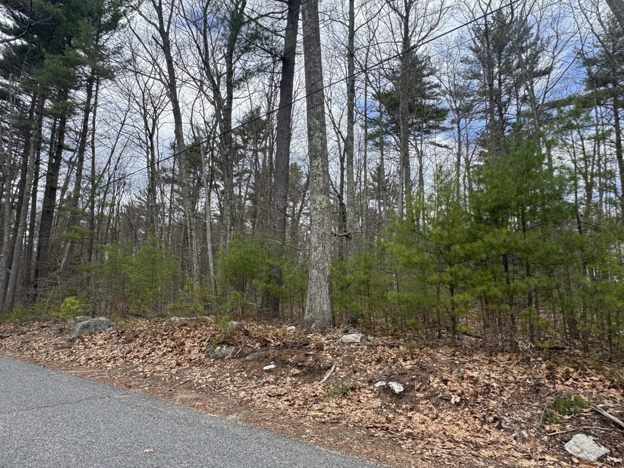 Lot 4 Murphy And Williamsville Roads Property Photo 8