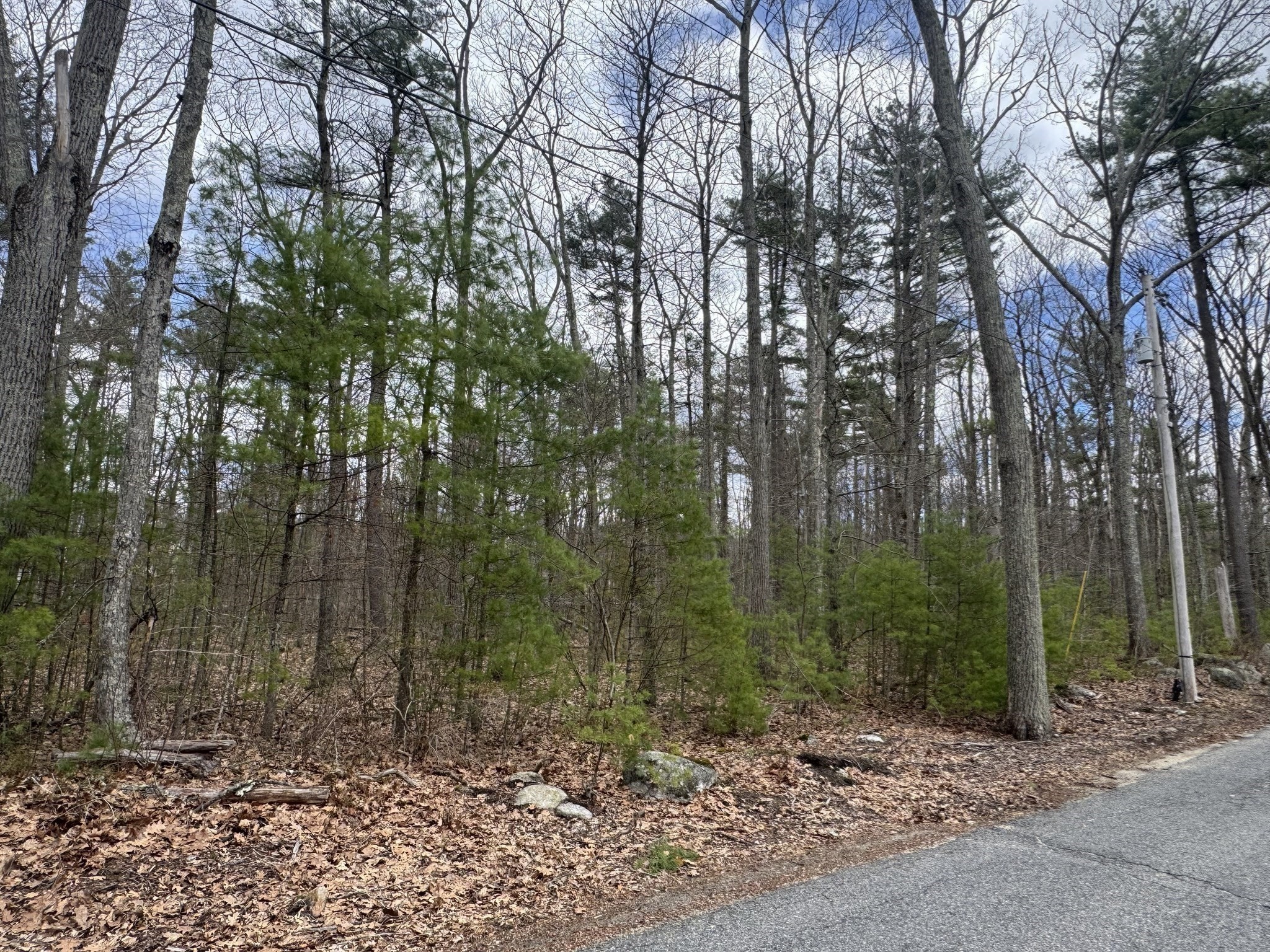 Lot 4 Murphy And Williamsville Roads Property Photo 9