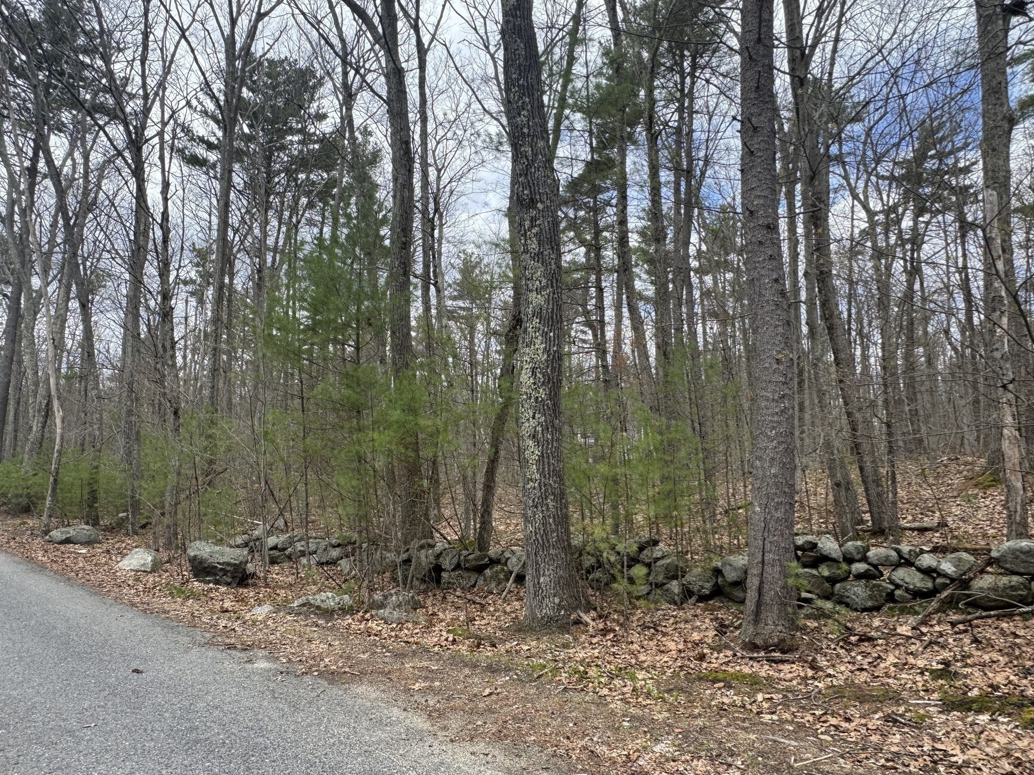 Lot 4 Murphy And Williamsville Roads Property Photo 11