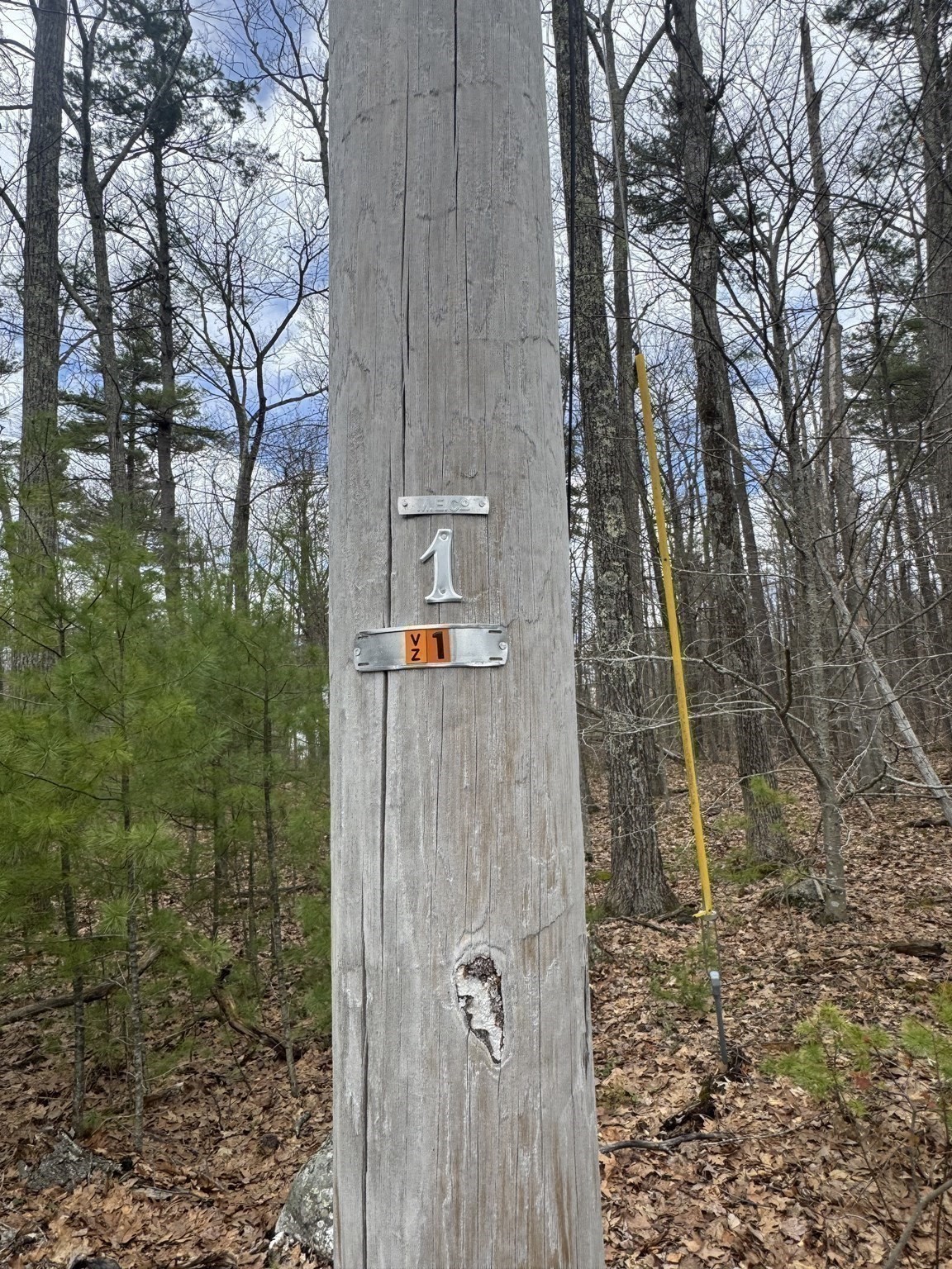 Lot 4 Murphy And Williamsville Roads Property Photo 12