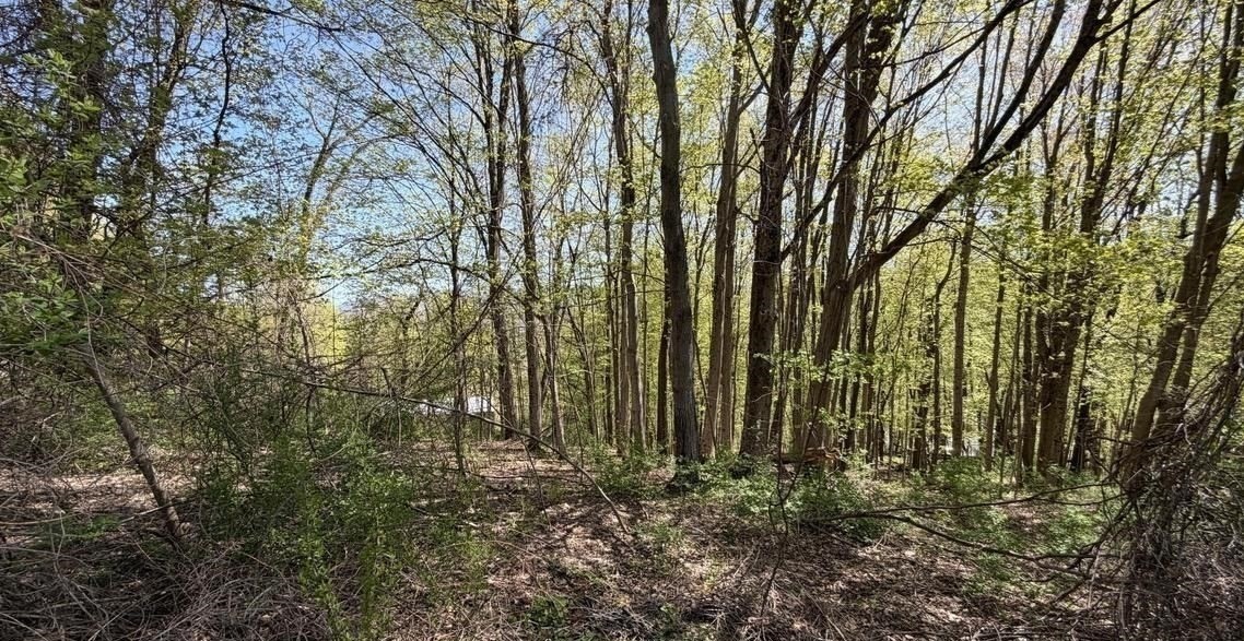 Lots 2a-3a Reservoir Road Property Photo 2